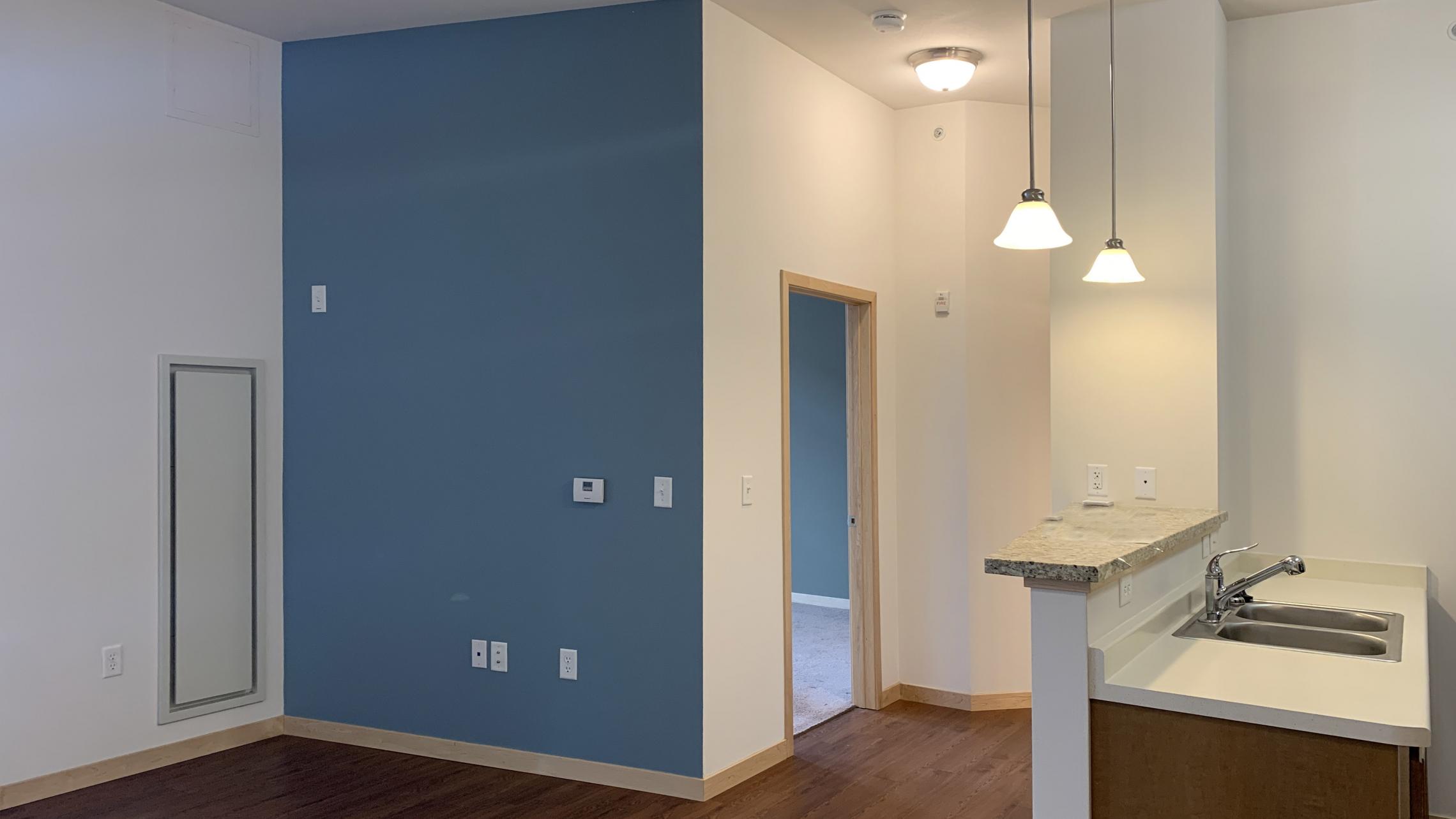 The-Depot-Apartment-2-102-One-Bedroom-Balcony-Terrace-Patio-Fitness-Downtown-Madison-Capitol-Lake-Bike-Cats-Lifestyle-Living-Kitchen-Laundry-Bathroom-Tub-Storage