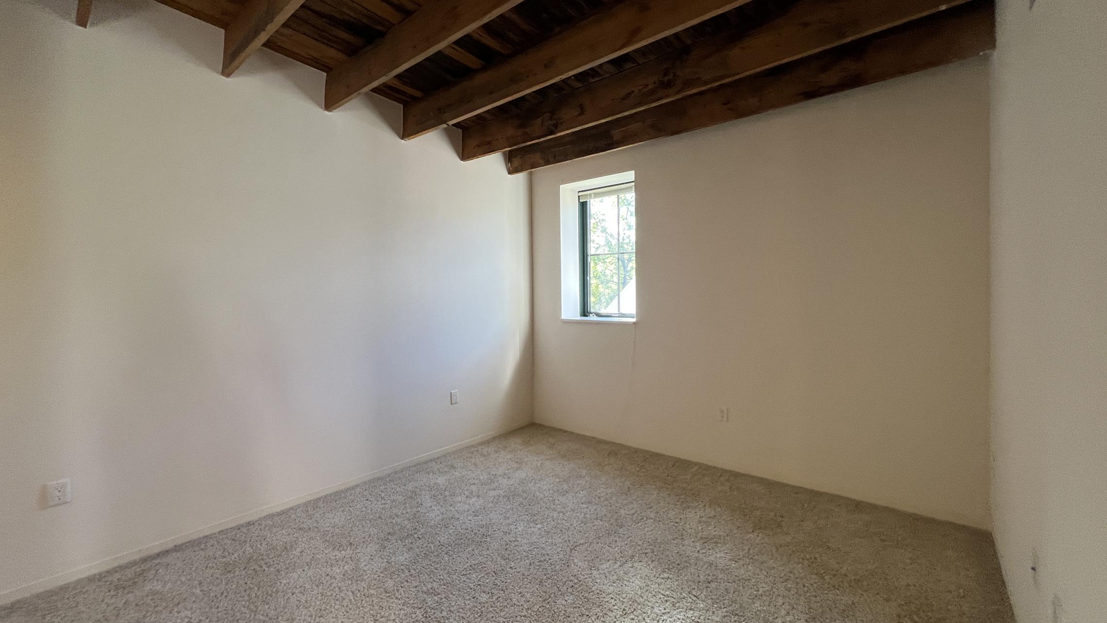 Tobacco-Lofts-at-The-Yards-Apartment-W216-One-Bedroom-Historic-Design-Exposed-Brick-Skylight-Downtown-Madison-Fitness-Lounge-Courtyard-Views-Cats-Upscale 