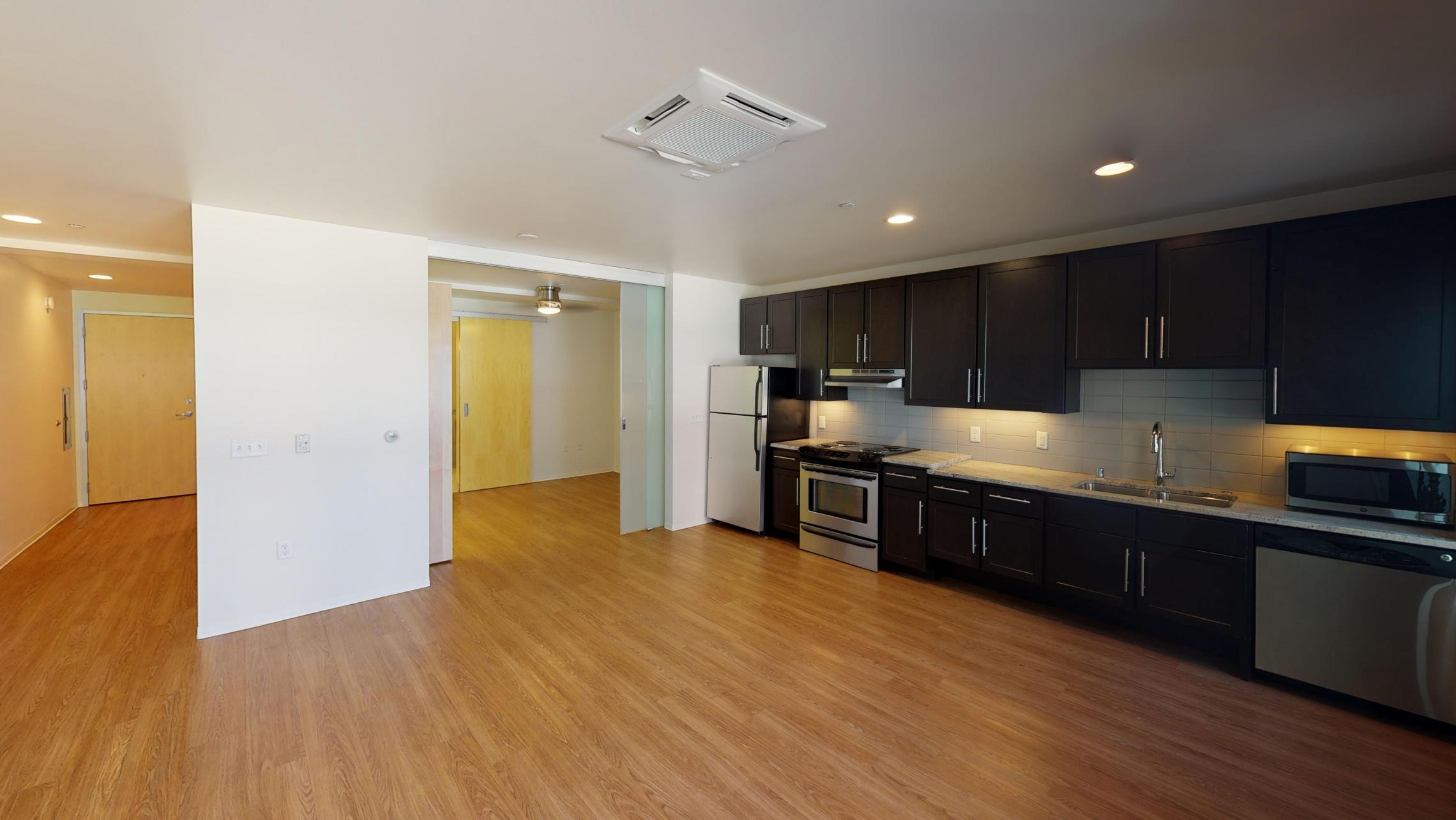 Capitol-Hill-Apartment-203-One-Bedroom-ADA-Corner-Downtown-Madison-Capitol-Square-Upscale-Luxury-Modern-Lifestyle-Views-Lake-Cats-Living-Bathroom-Kithcen-Laundry