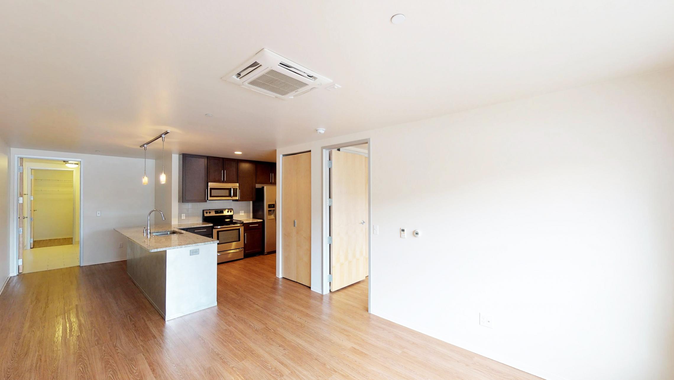 Capitol-Hill-Apartment-306-One-Bedroom-Corner-Lake-Capitol-Square-Downtown-Madison-Modern-Design-Lifestyle-Upscale-Luxury-Cats-Views-City-Bathroom-Storage-Kitchen