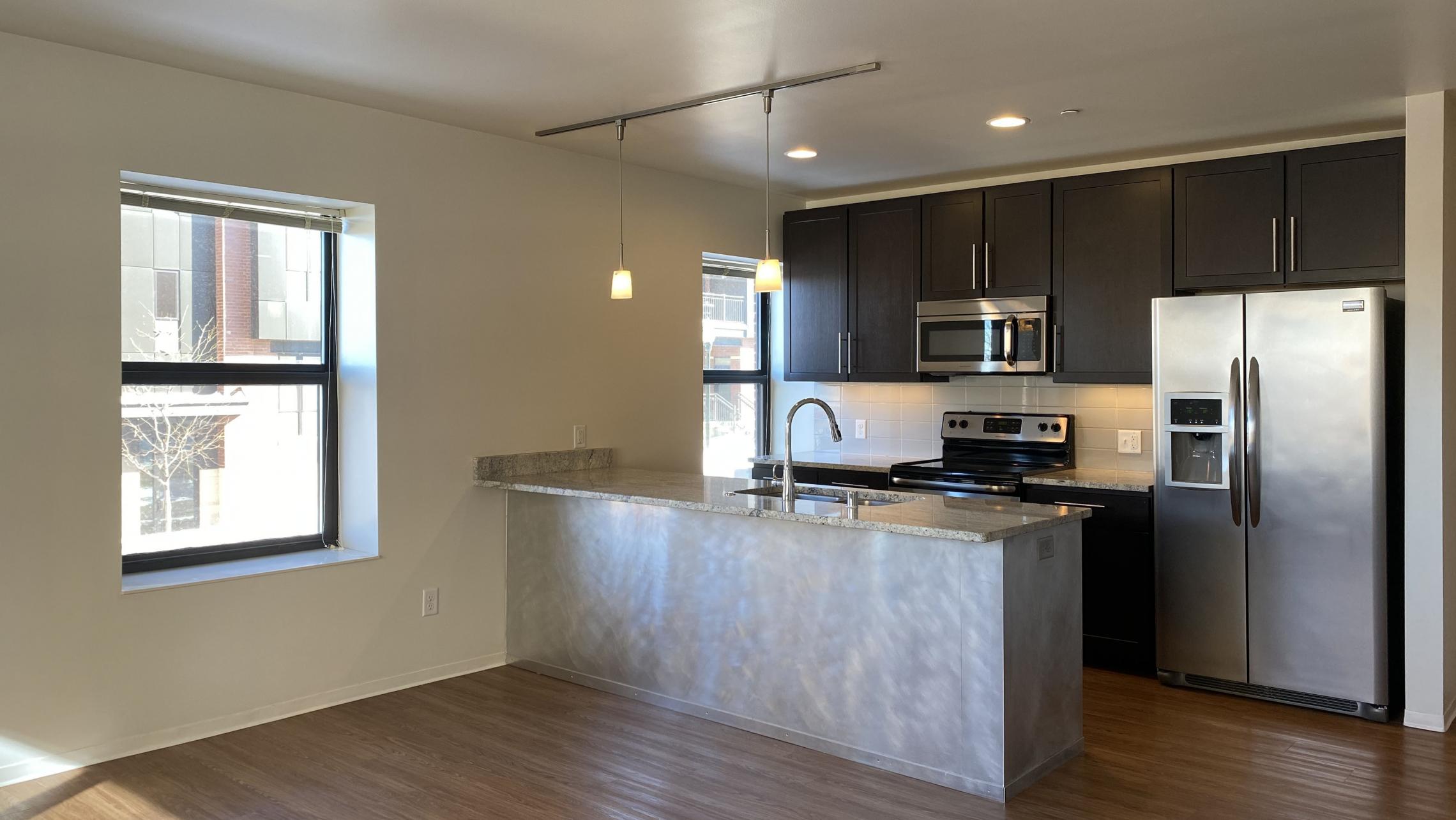 Capitol-Hill-Apartment-201-One-Bedroom-Corner-Downtown-Madison-Capitol-Square-Upscale-Luxury-Modern-Lifestyle-Views-Lake-Cats-Living-Bathroom-Kithcen-Laundry