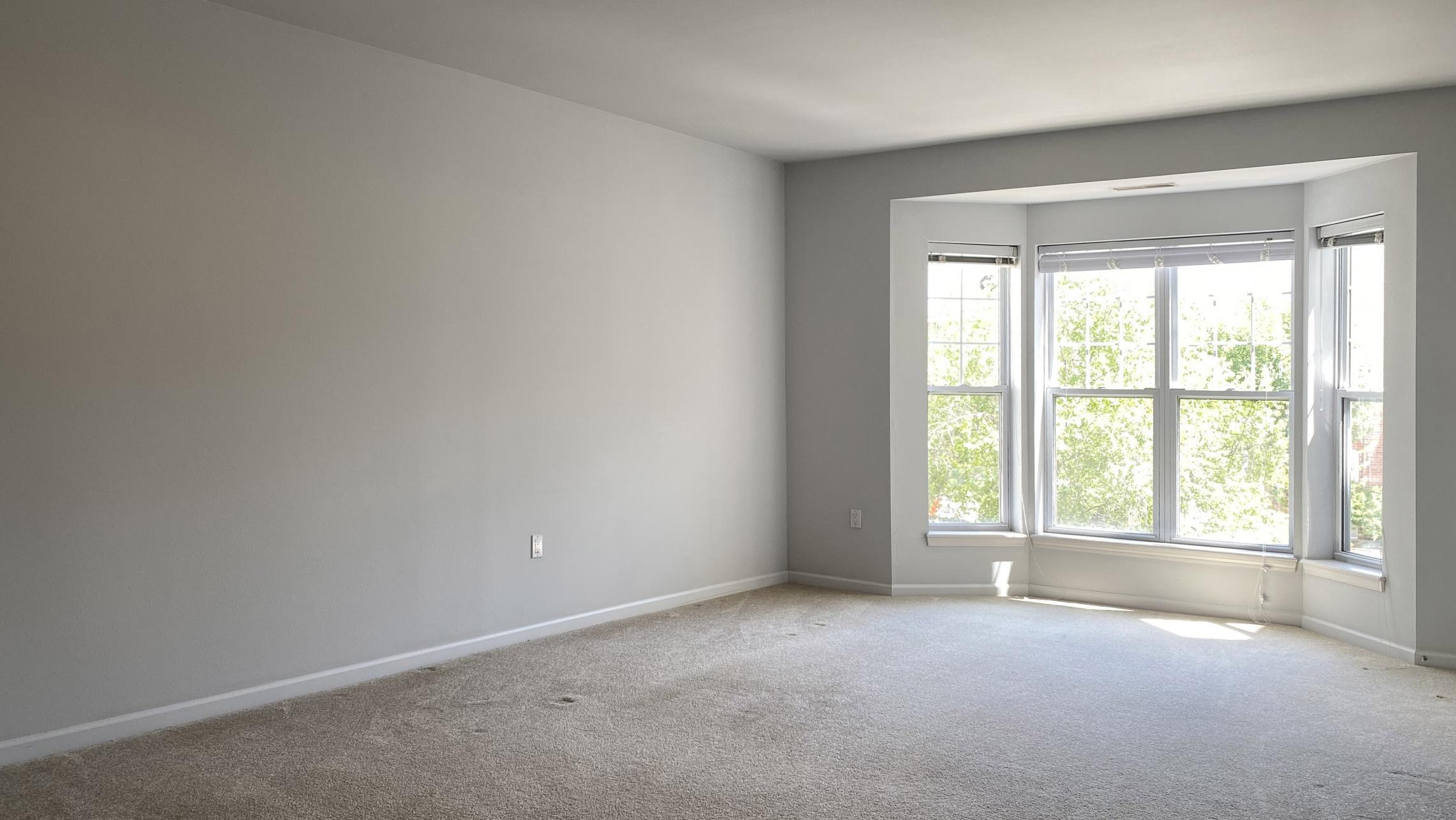 City-Place-Apartment-201-One-Bedroom-Bathroom-Kitchen-Living-Balcony-Downtown-Madison-Bike-City-Capitol-Lifestyle-Home-Laundry-Storage-Closet-Bathtub