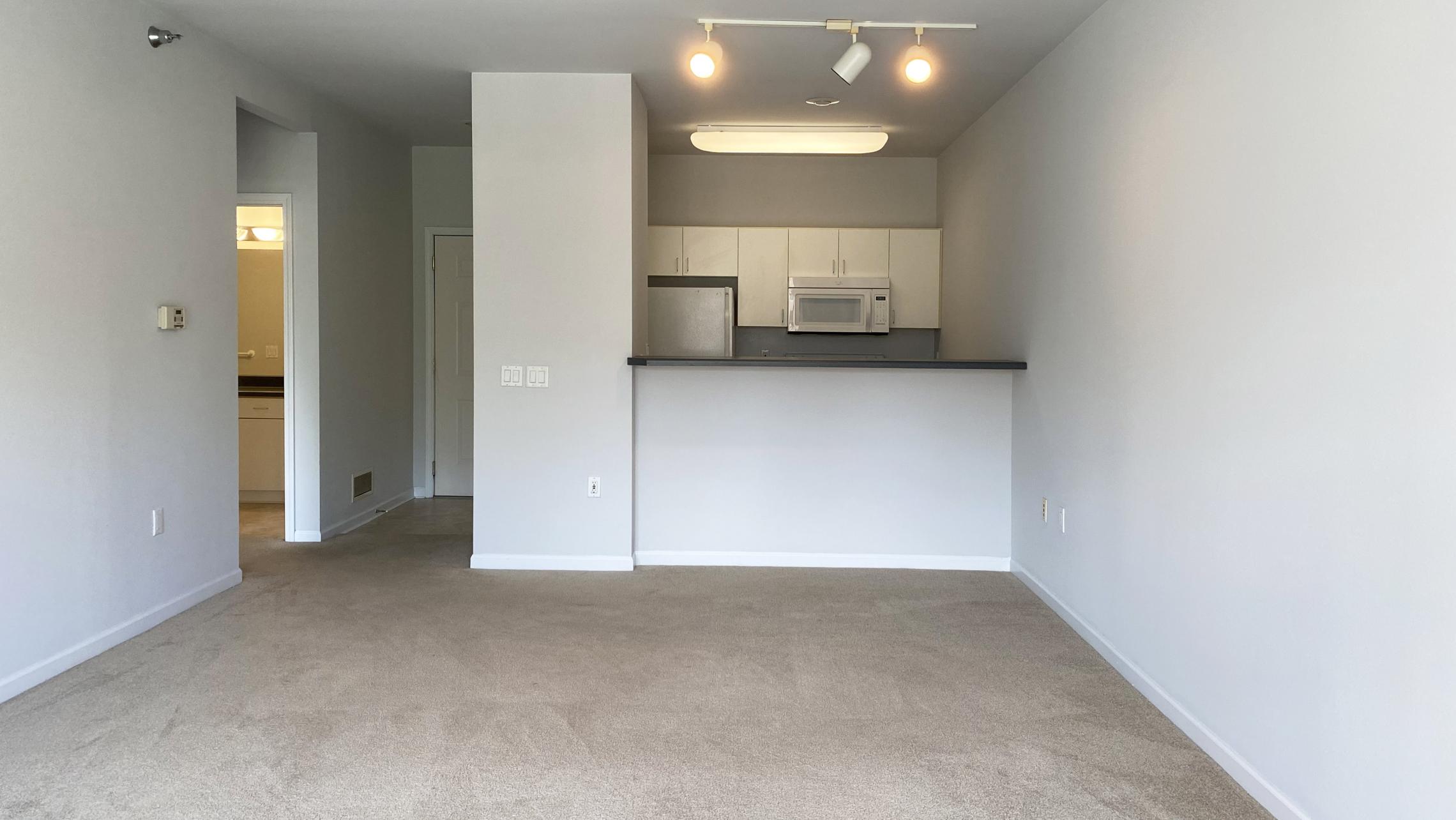 City-Place-Apartment-201-One-Bedroom-Bathroom-Kitchen-Living-Balcony-Downtown-Madison-Bike-City-Capitol-Lifestyle-Home-Laundry-Storage-Closet-Bathtub