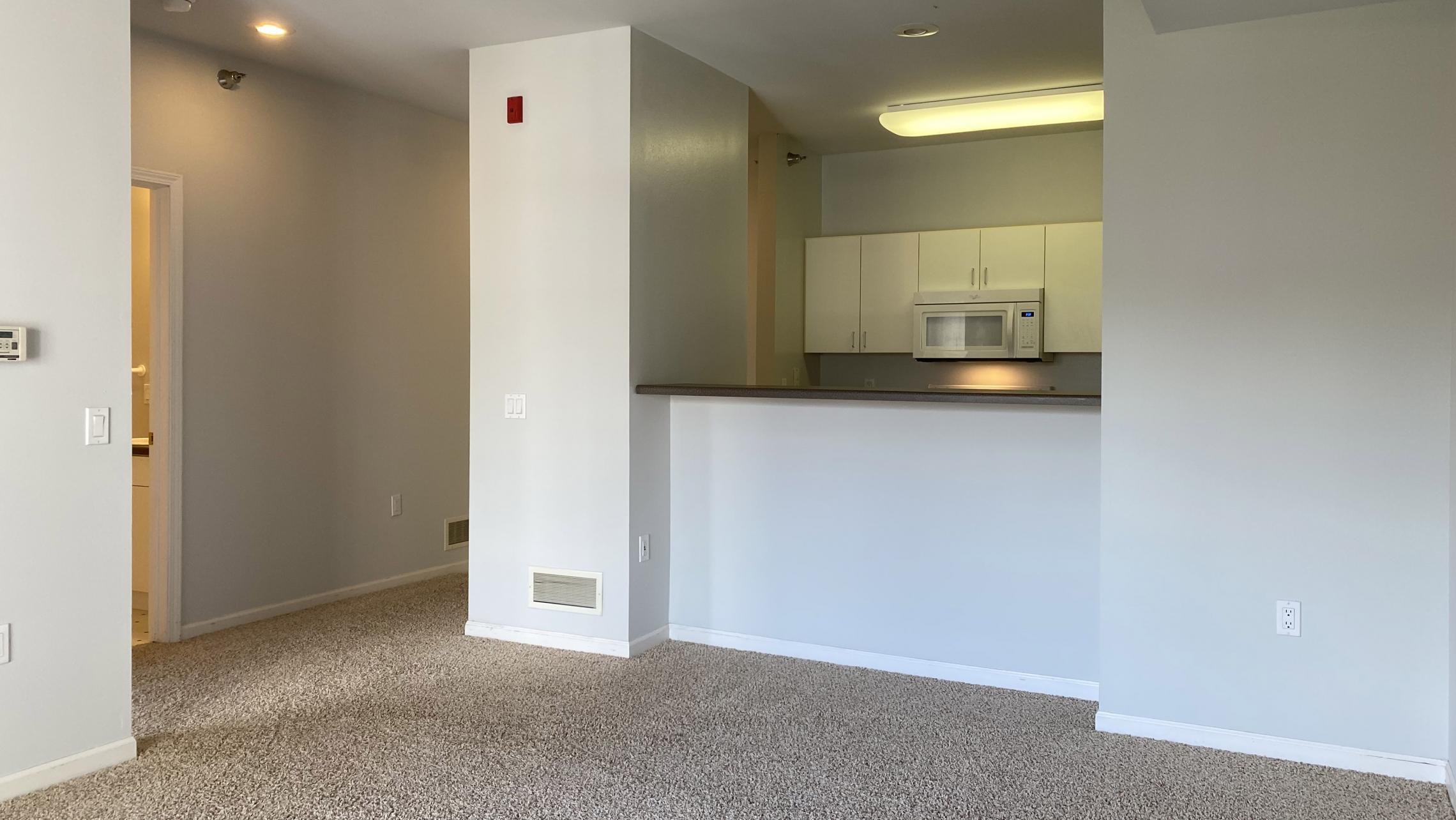 City-Place-Apartment-310-One-Bedroom-Natural-Light-Sunny-Bright-Bathroom-Kitchen-Living-Balcony-Downtown-Madison-Bike-City-Capitol-Lifestyle-Home-Laundry-Storage-Closet-Bathtub