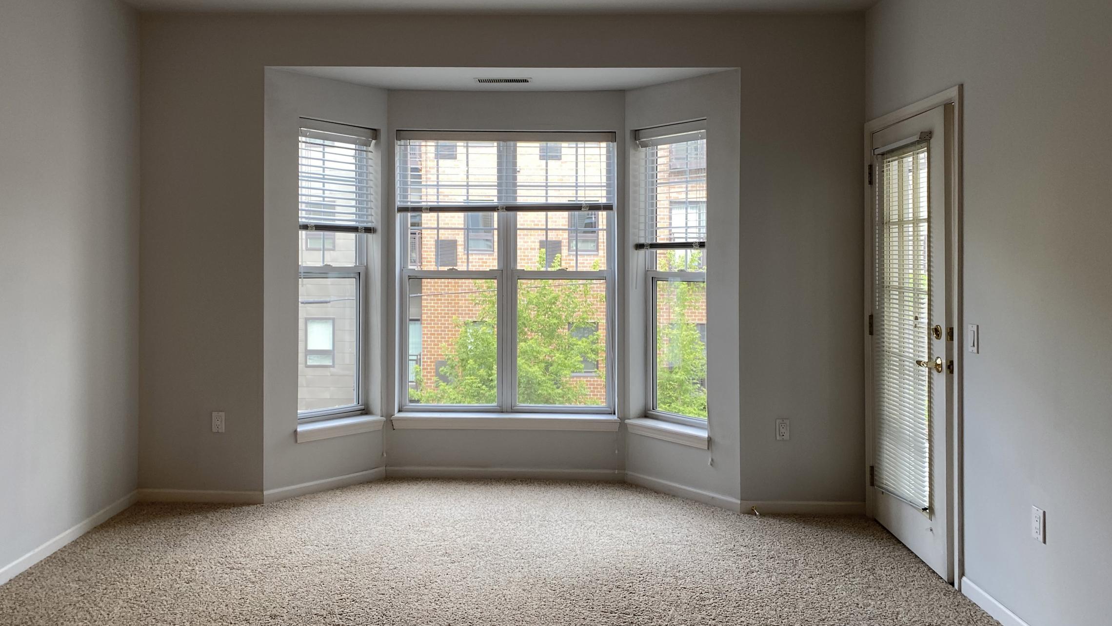 City-Place-Apartment-206-One-Bedroom-Bathroom-Kitchen-Living-Balcony-Downtown-Madison-Bike-City-Capitol-Lifestyle-Home-Laundry-Storage-Closet-Bathtub