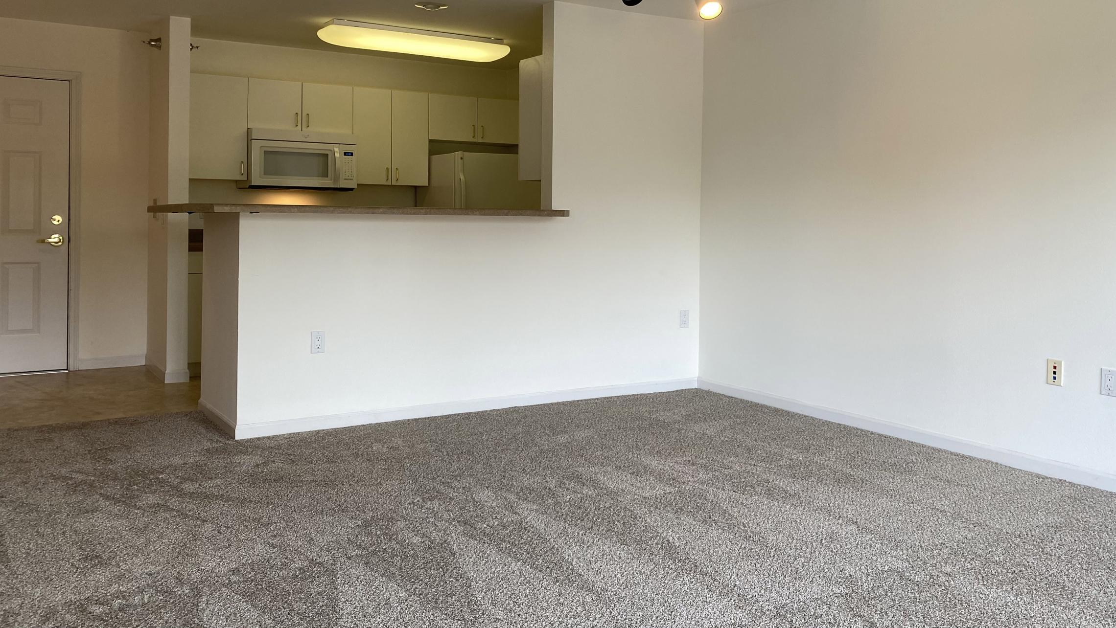 City-Place-Apartment-408-One-Bedroom-Natural-Light-Sunny-Bright-Bathroom-Kitchen-Living-Balcony-Downtown-Madison-Bike-City-Capitol-Lifestyle-Home-Laundry-Storage-Closet-Bathtub