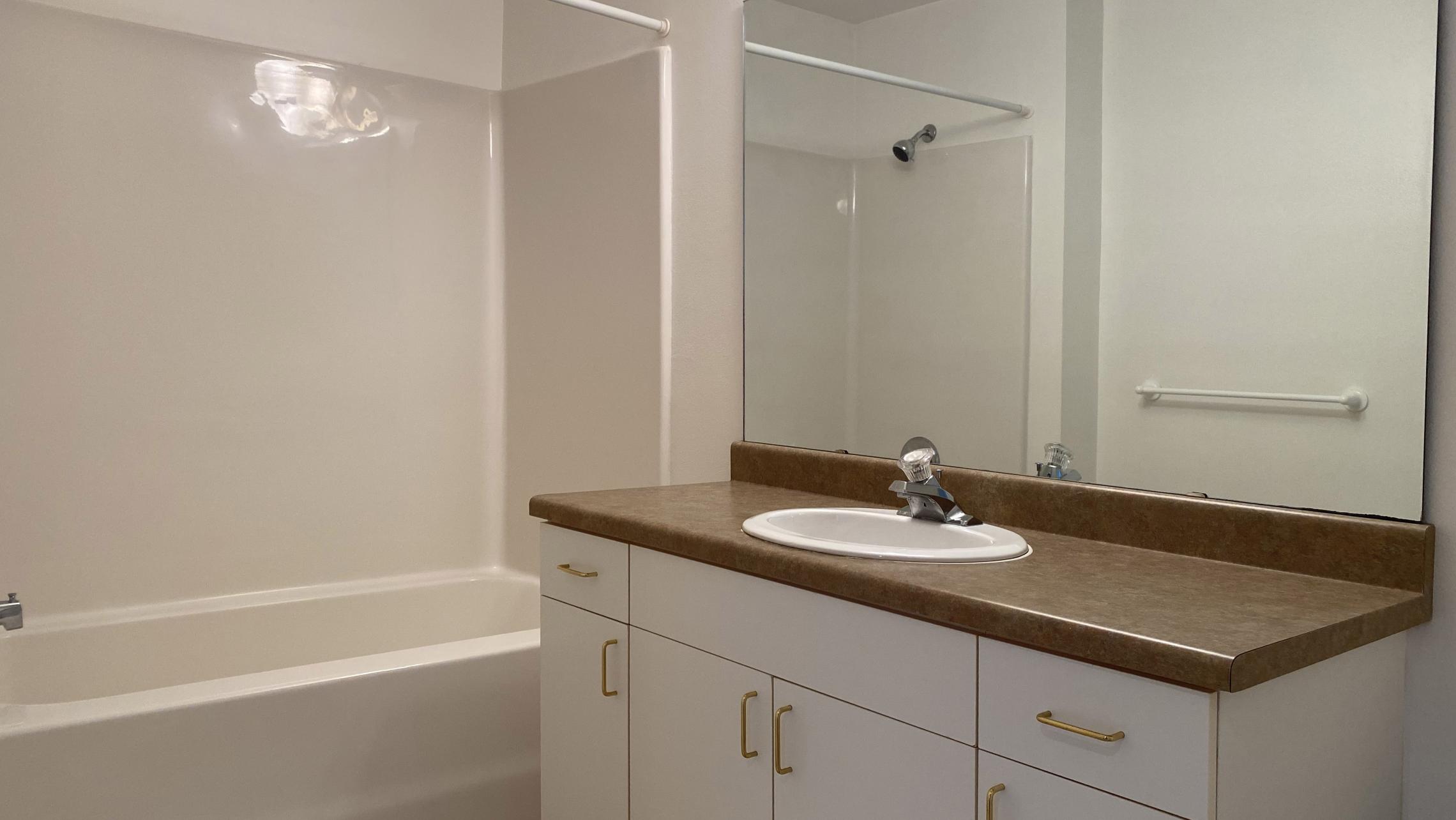 City-Place-Apartment-408-One-Bedroom-Natural-Light-Sunny-Bright-Bathroom-Kitchen-Living-Balcony-Downtown-Madison-Bike-City-Capitol-Lifestyle-Home-Laundry-Storage-Closet-Bathtub