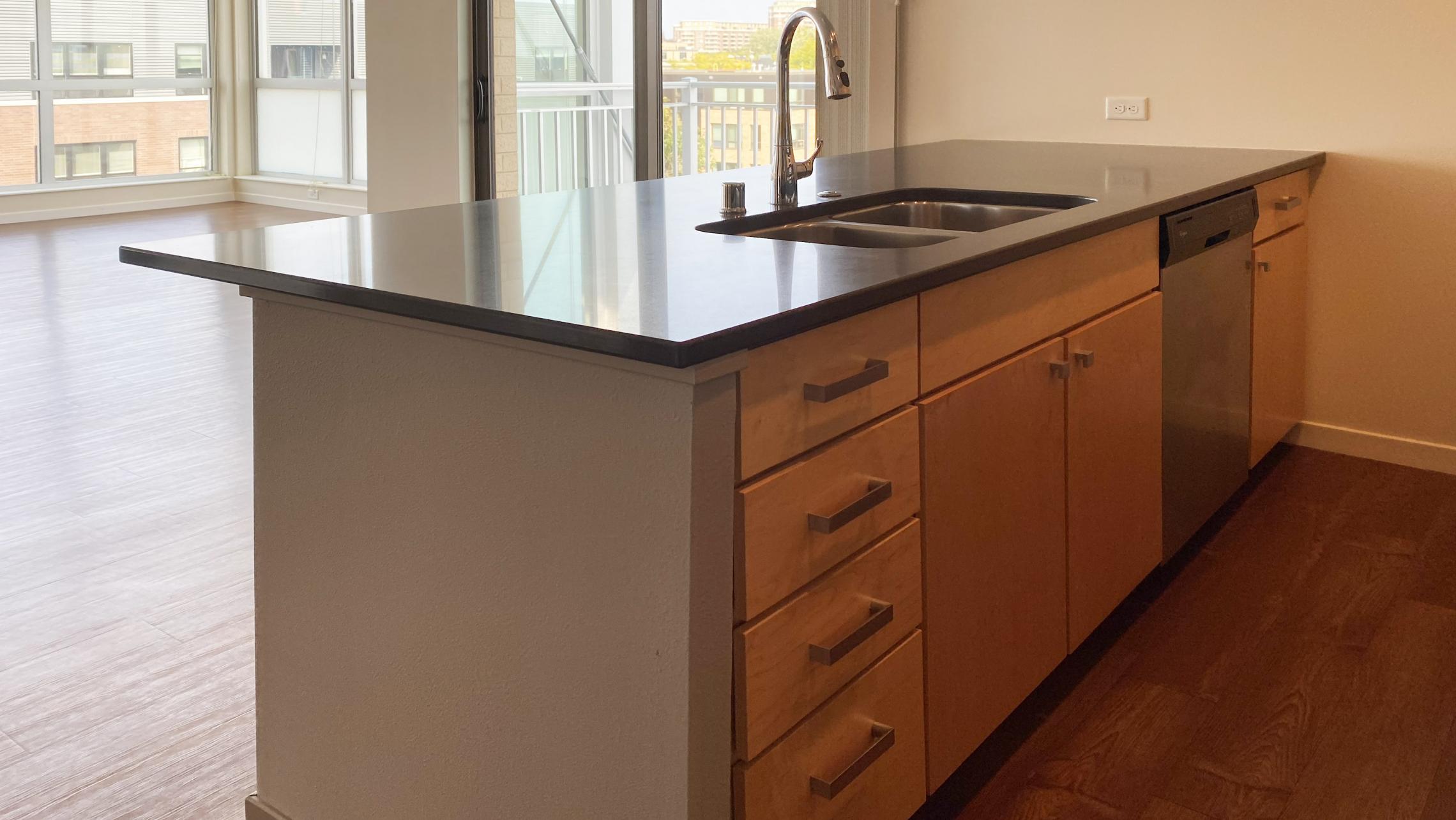 Nine-Line-at-The-Yards-Apartment-503-Two-Bedrom-Corner-Capitol-View-Balcony-Fitness-Kitchen-Living-Dining-Natural-Light-Modern-Upscale-Luxury-Maidson-Lake-Bike-Path-Dogs-Cats