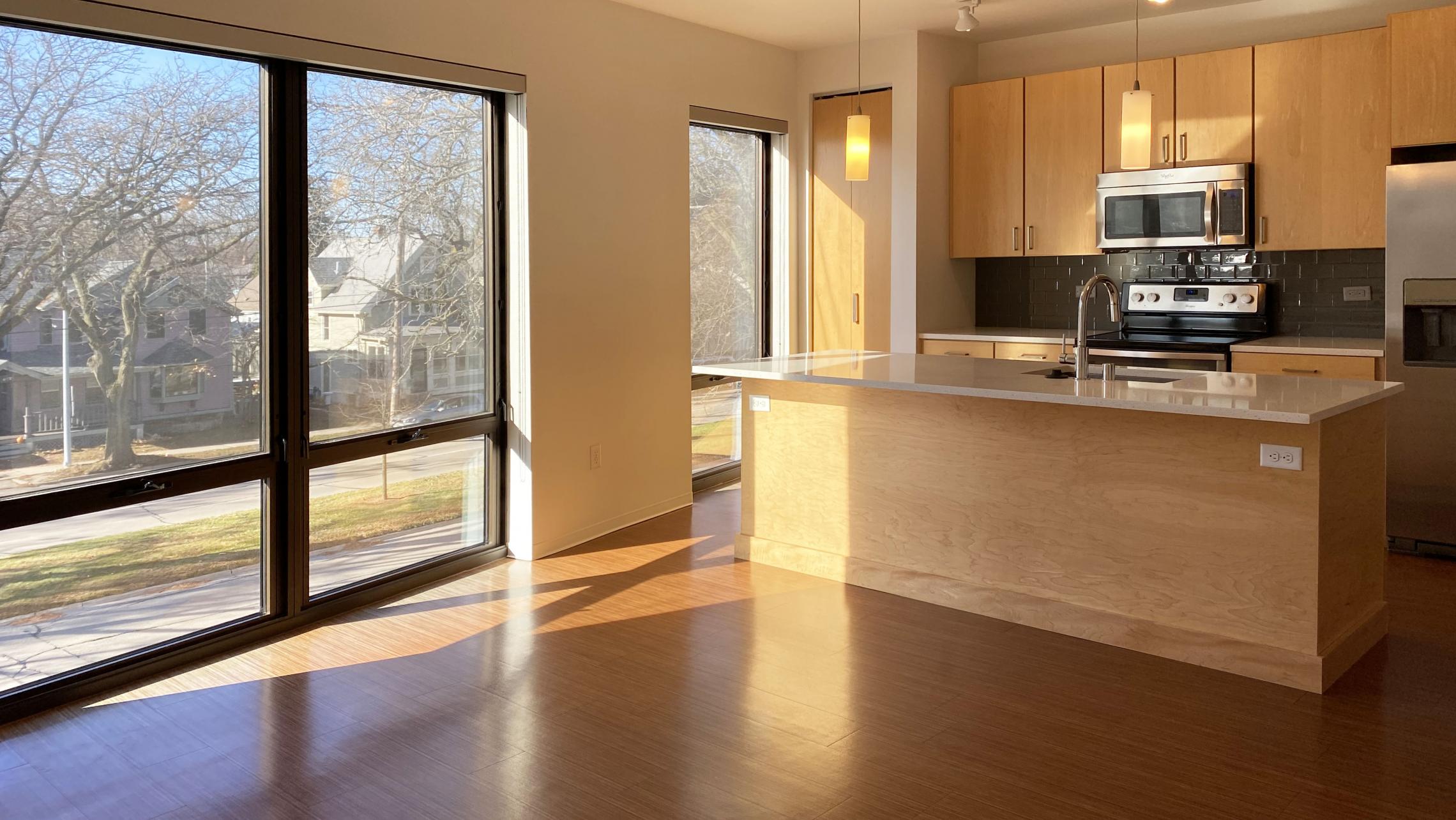SEVEN27-at-The-Yards-Apartment-204-One-Bedroom-Modern-Upscale-Luxury-Design-Radiant-Heating-Fitness-Lounge-Fireplace-Courtyard-Downtown-Madison-Cats-Dogs-Lifestyle-Natural-Light-Lake-View