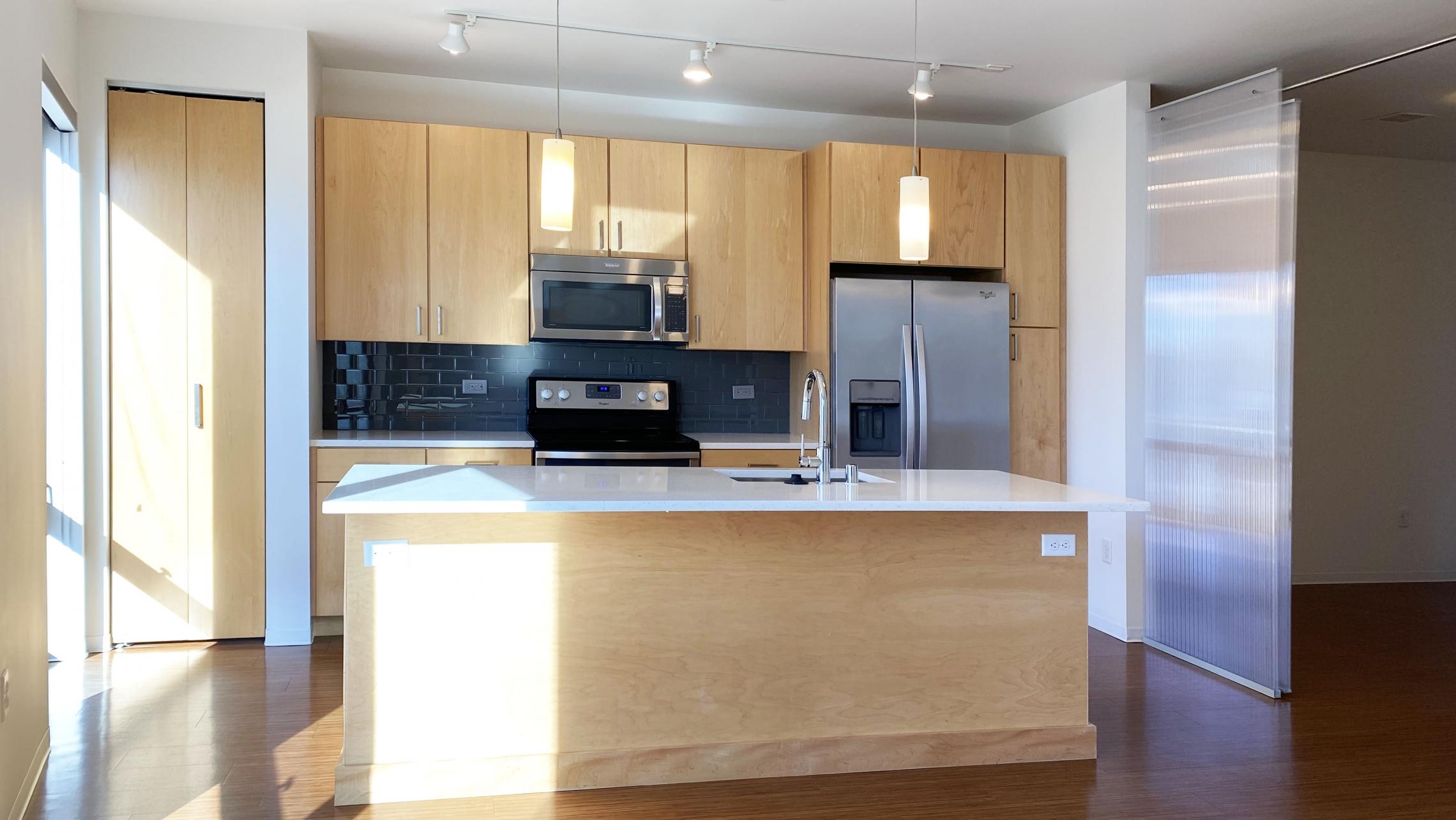 SEVEN27-at-The-Yards-Apartment-204-One-Bedroom-Modern-Upscale-Luxury-Design-Radiant-Heating-Fitness-Lounge-Fireplace-Courtyard-Downtown-Madison-Cats-Dogs-Lifestyle-Natural-Light-Lake-View