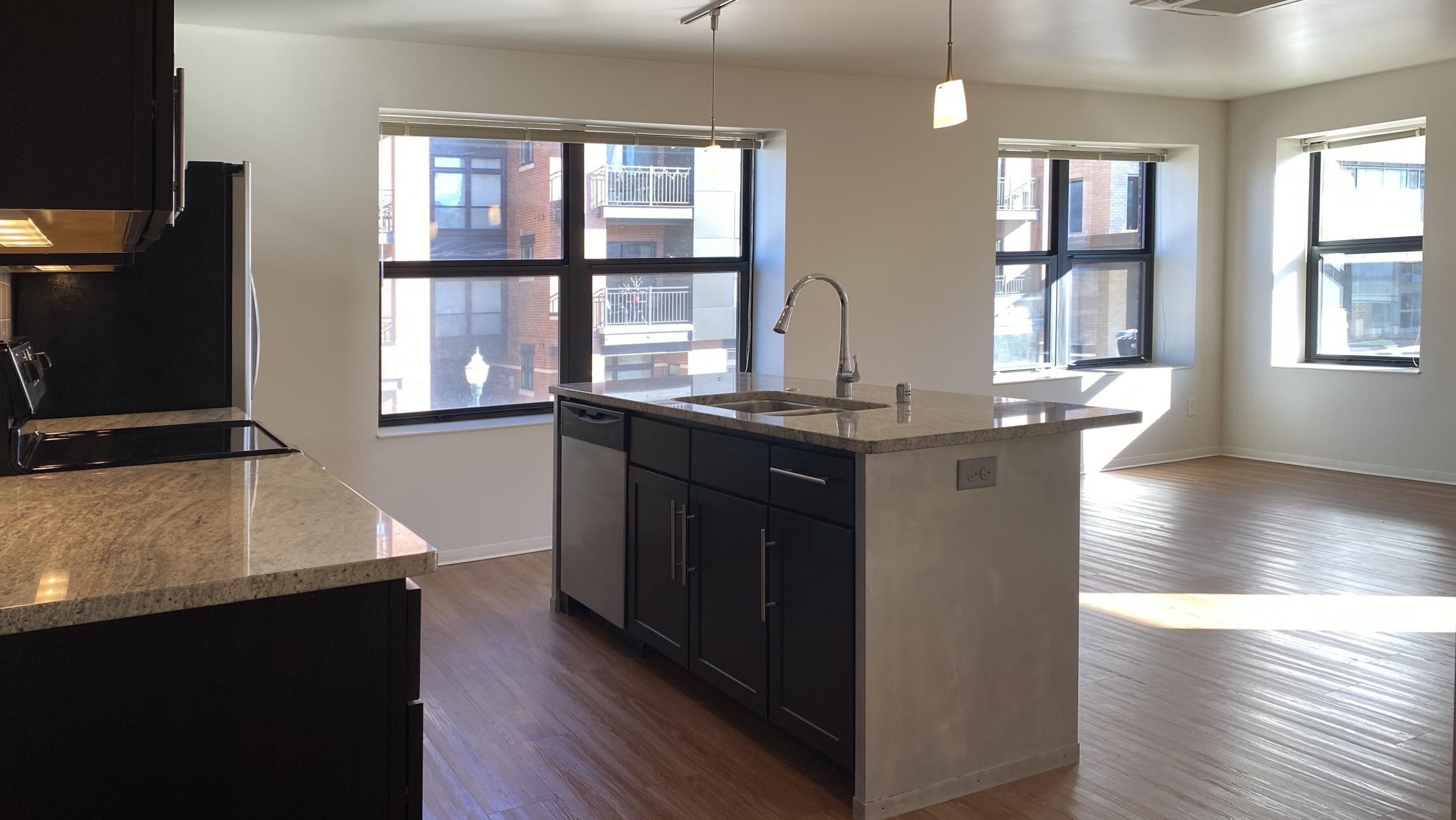 Capitol-Hill-Apartment-307-One-Bedroom-Downtown-Capitol-Lake-View-Modern-Upscale-Radiant-Heating-Kitchen-Living-Bathroom-Lifestyle-Madison-Home-Cats