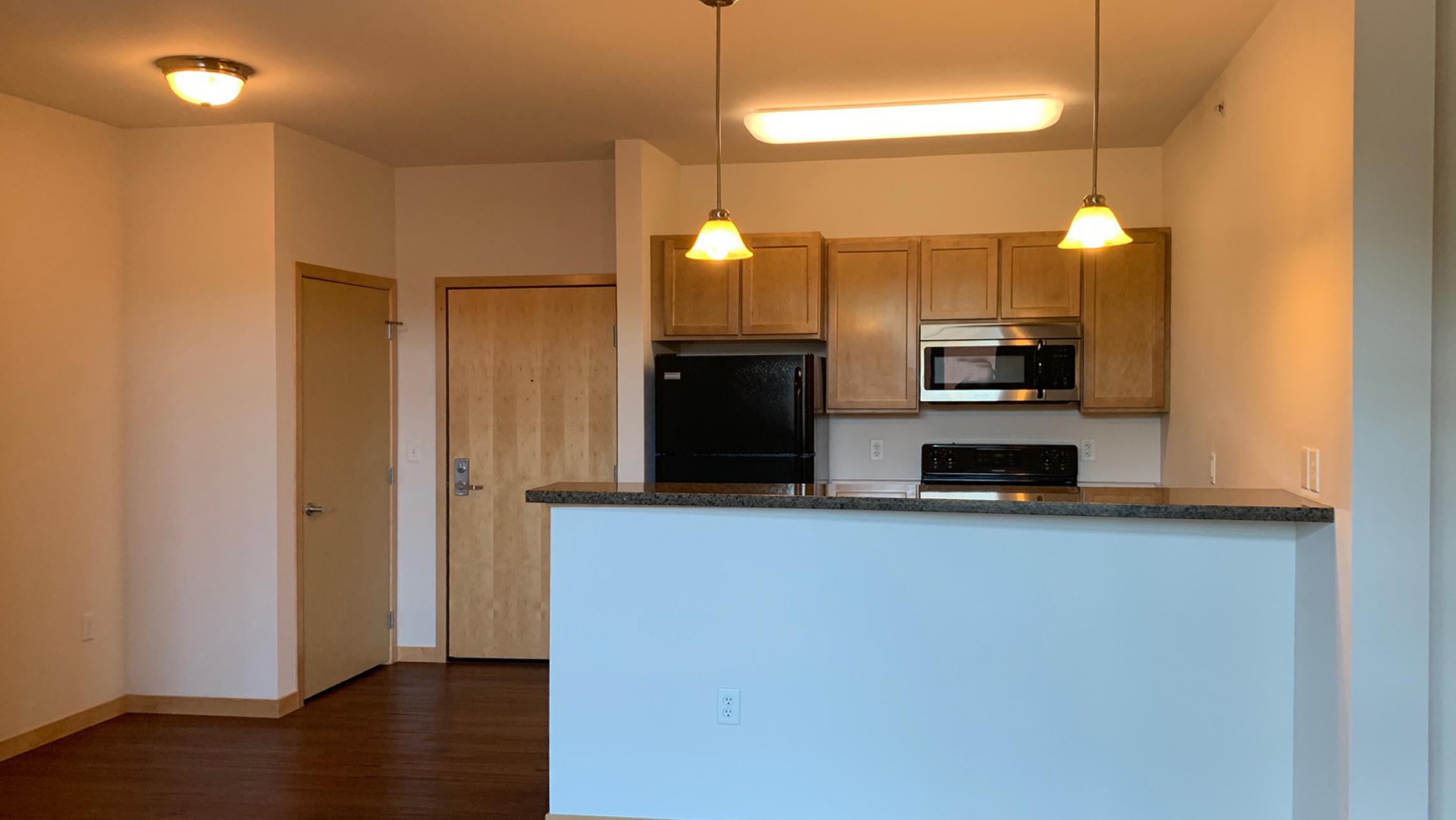 The-Depot-Apartment-1-211-One -Bedroom-Kitchen-Living-Bathroom-Bathtub-Rooftop-Terrace-Fitness-Downtown-Madison-Capitol-Bike-Trails-Cats-Lifestyle-City-Lake