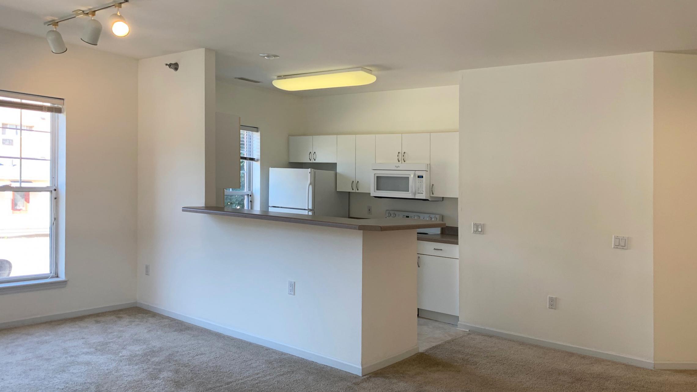 City-Place-Apartment-102-Two-Bedroom-Two-Bathroom-Downtown-Madison-Bike-Lake-City-Balcony-Lifestyle-Design-Home-Living-Kitchen-Bathtub-Natural-Light