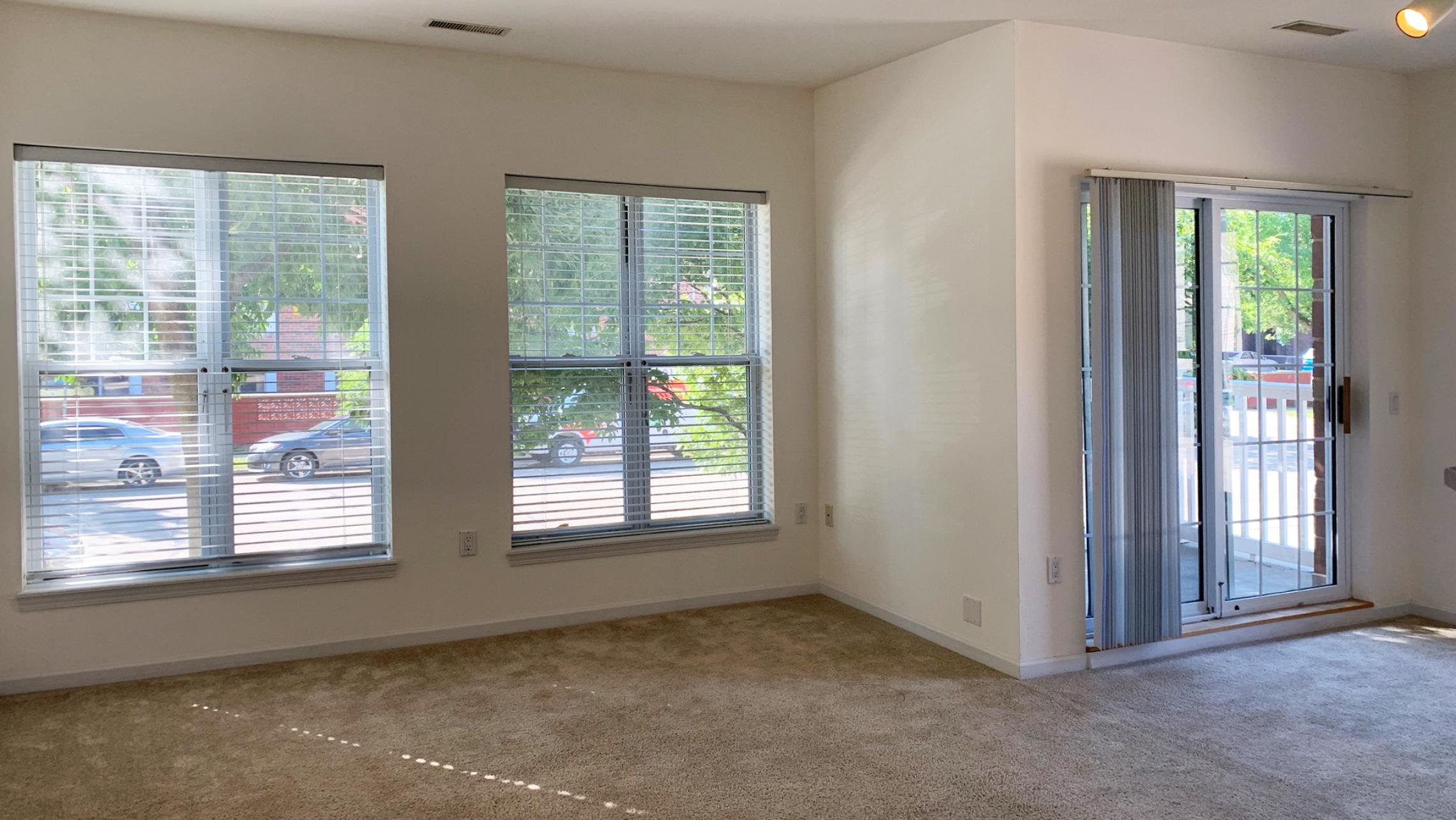 City-Place-Apartment-102-Two-Bedroom-Two-Bathroom-Downtown-Madison-Bike-Lake-City-Balcony-Lifestyle-Design-Home-Living-Kitchen-Bathtub-Natural-Light