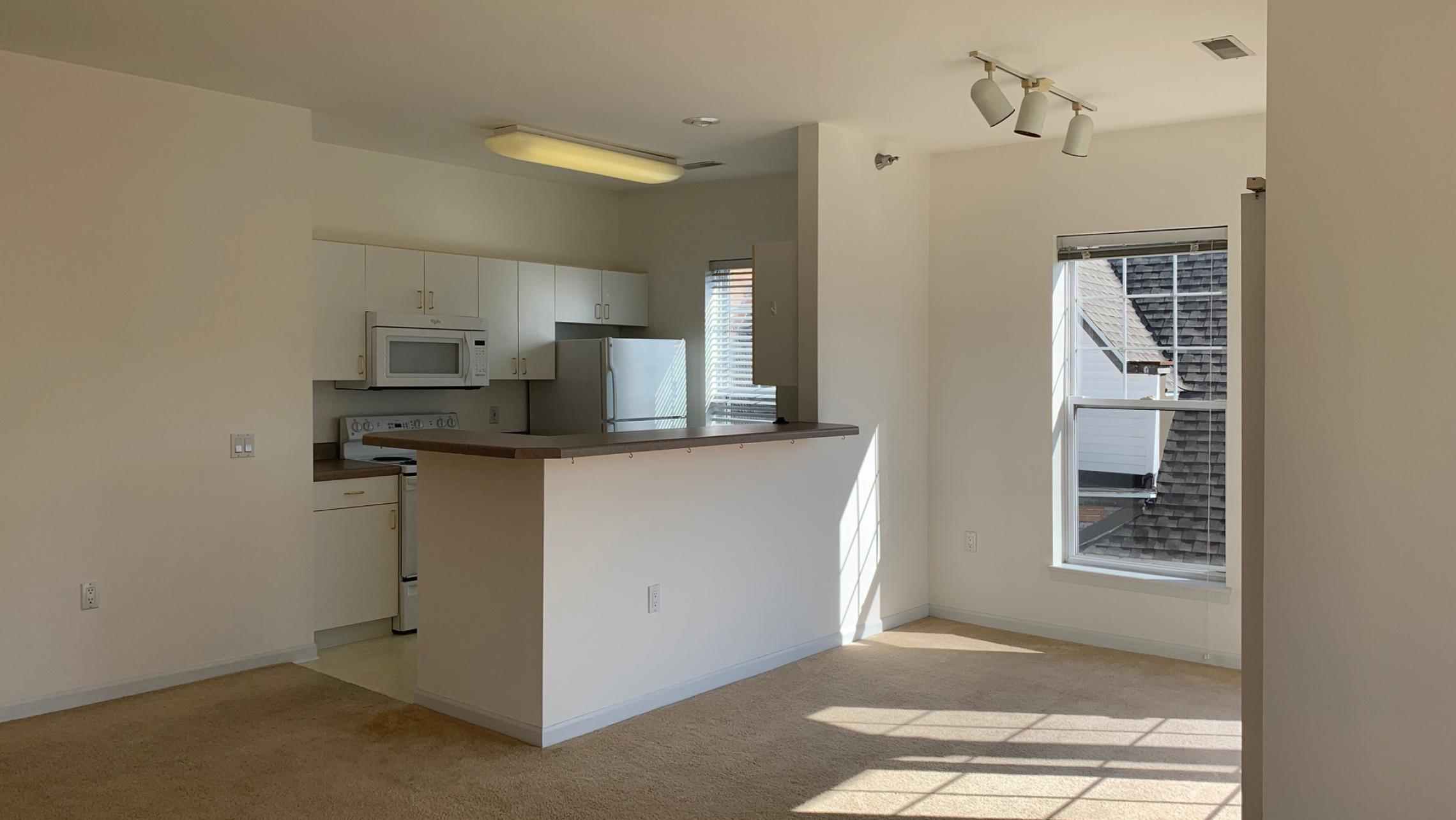 City-Place-Apartment-309-Two-Bedroom-Corner-Sunny-Bright-Light-Bathroom-Kitchen-Living-Balcony-Downtown-Madison-Bike-City-Capitol-Lifestyle-Home-Laundry-Storage-Closet-Bathtub