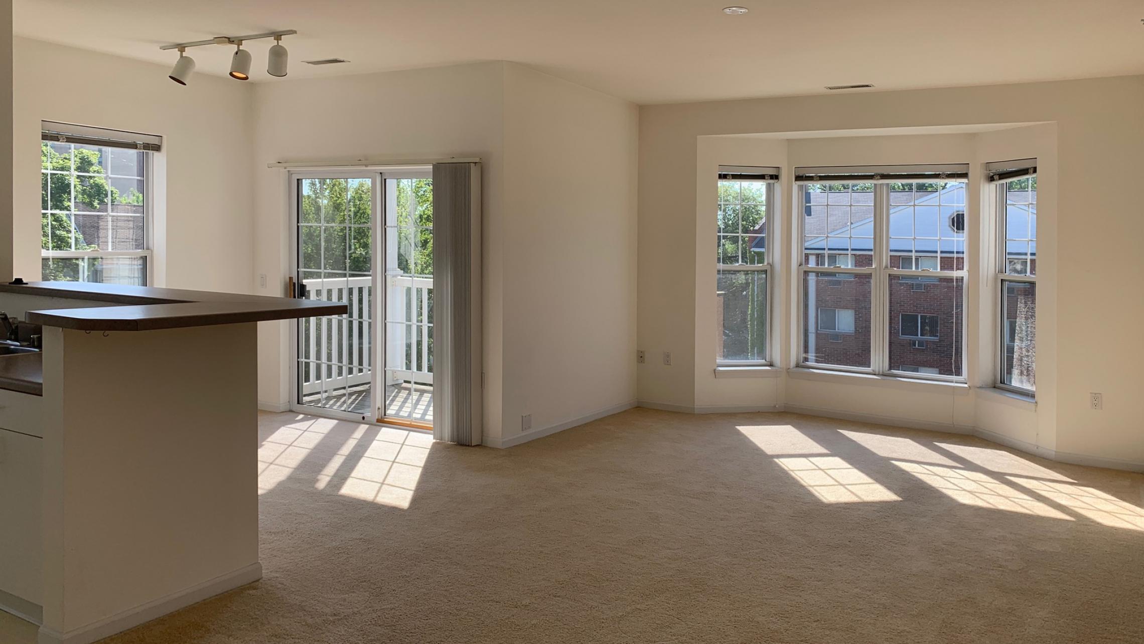 City-Place-Apartment-309-Two-Bedroom-Corner-Sunny-Bright-Light-Bathroom-Kitchen-Living-Balcony-Downtown-Madison-Bike-City-Capitol-Lifestyle-Home-Laundry-Storage-Closet-Bathtub