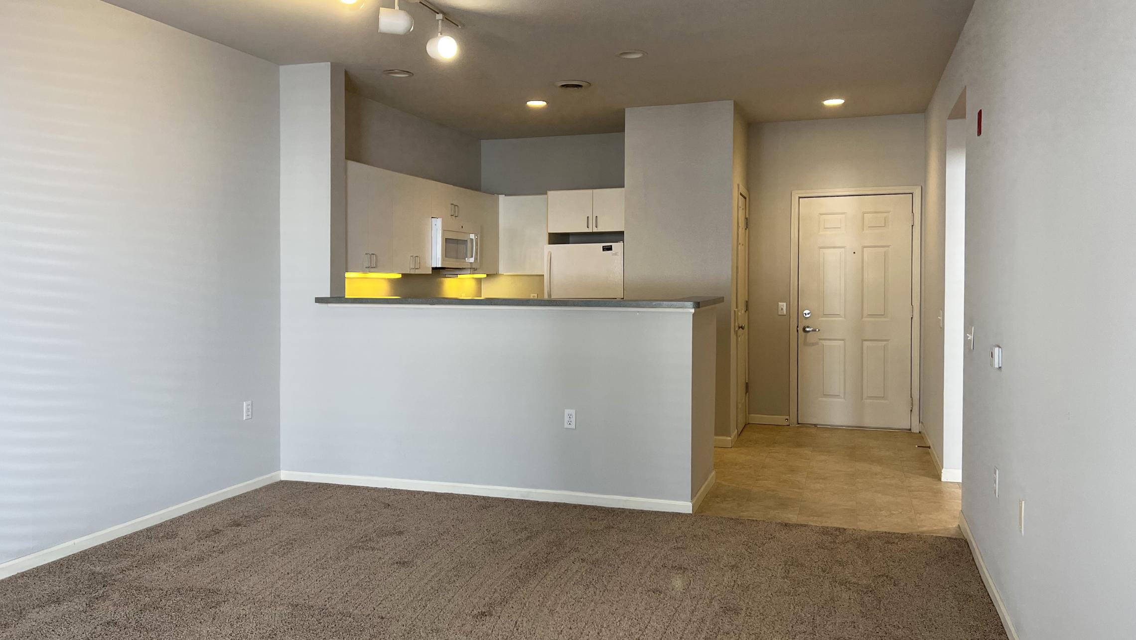 Wilson-Bay-Apartment-110-One-Bedroom-Downtown-Madison-Capitol-Lake-Monona-Balcony-Patio-Bike-Path-Living-Kitchen-Storage