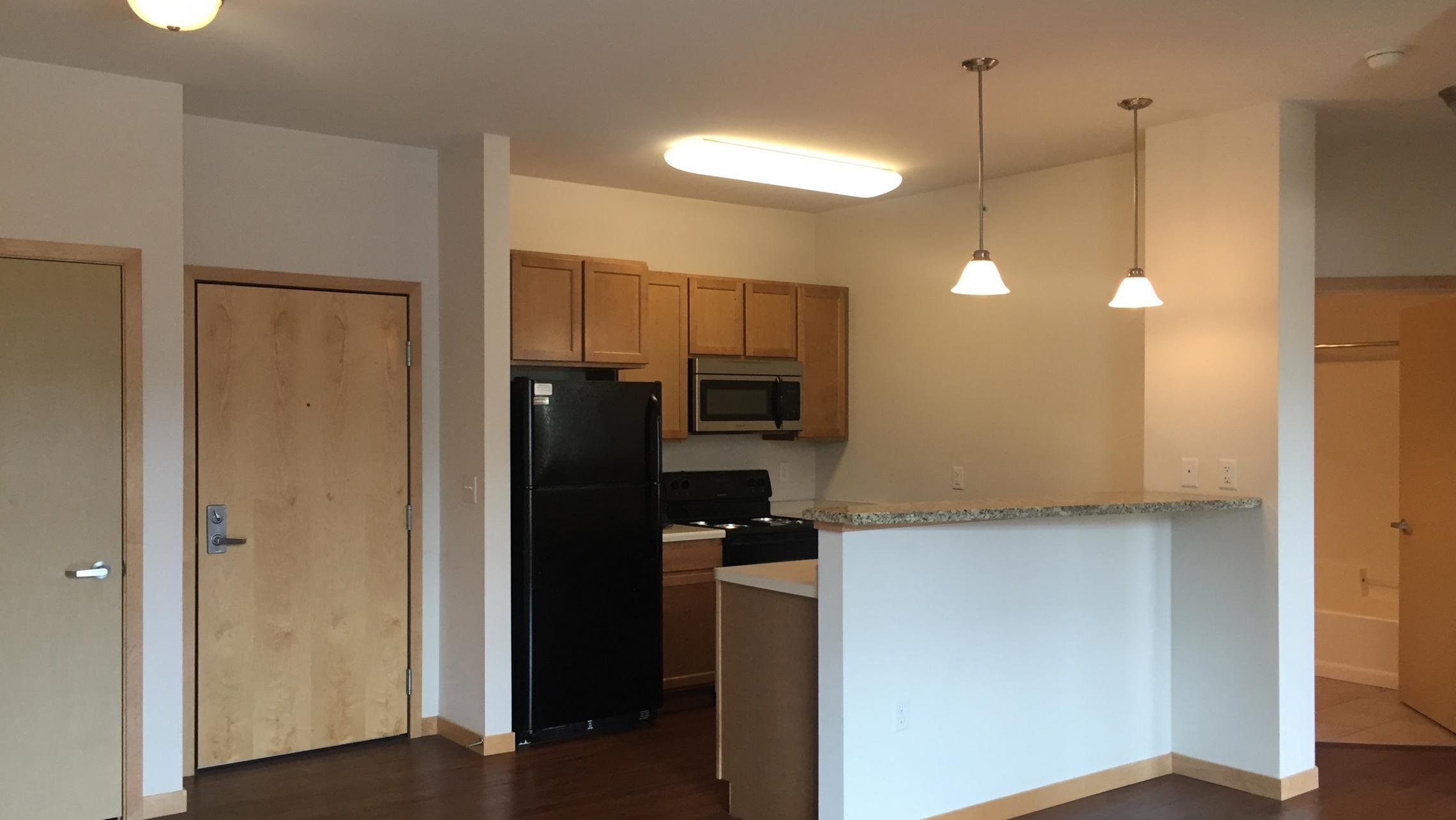 The-Depot-Apartment-2-201-One-Bedroom-Kitchen-Living-Bathroom-Bathtub-Rooftop-Terrace-Fitness-Downtown-Madison-Capitol-Bike-Trails-Cats-Lifestyle-City-Lake-Balcony-Views