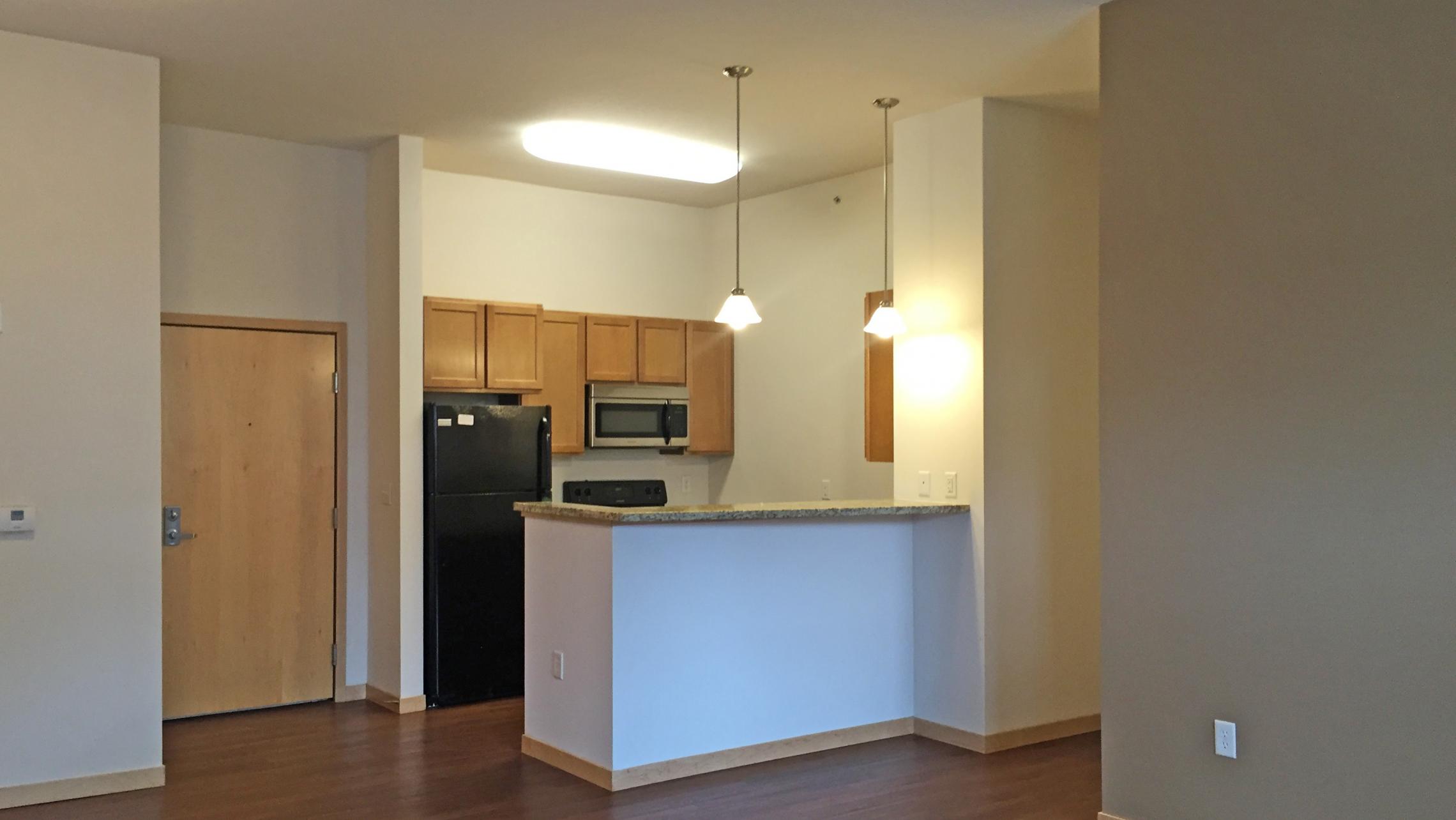 The-Depot-Apartment-2-107-Bedroom-Downtown-Madison-Capitol-View-Balcony-Lake-Cats-Fintess-Terrace-City-Living-Kithcen-Bathroom-Upscale-Patio-Modern