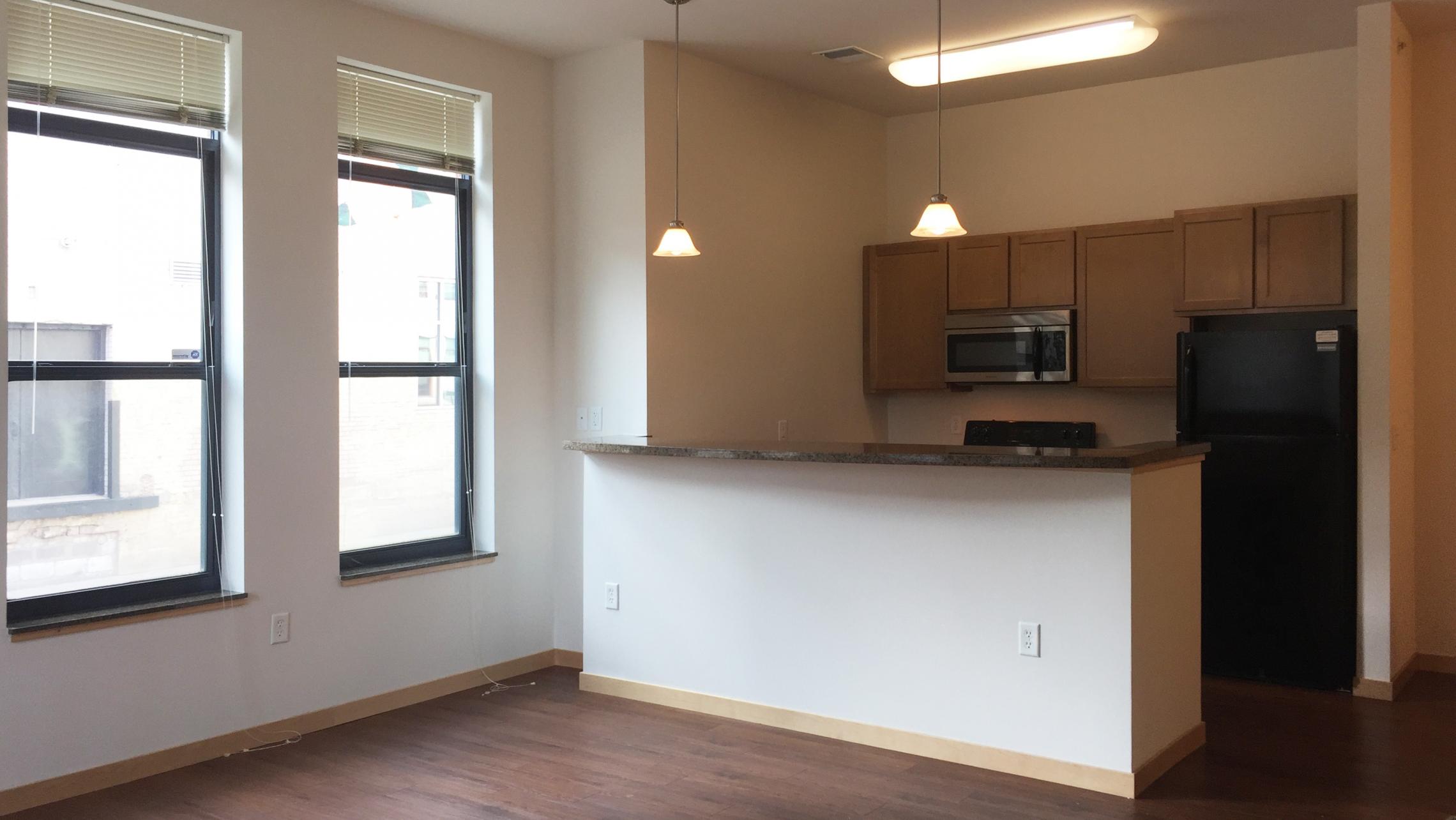 The-Depot-Apartment-3-608-Two-Bedroom-Townhome-Kitchen-Living-Bathroom-Bathtub-Rooftop-Terrace-Fitness-Downtown-Madison-Capitol-Bike-Trails-Cats-Lifestyle-City-Lake-Balcony-Views