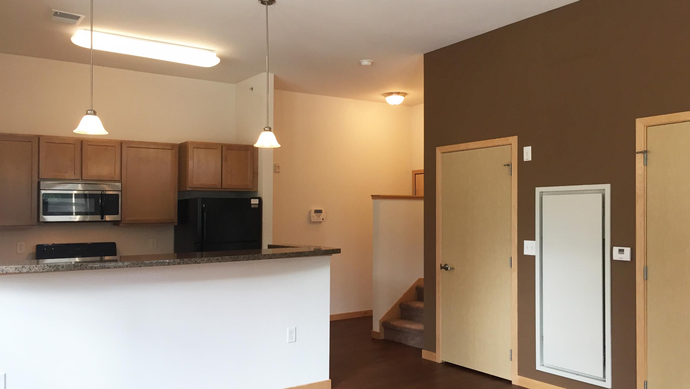 The-Depot-Apartment-3-608-Two-Bedroom-Townhome-Kitchen-Living-Bathroom-Bathtub-Rooftop-Terrace-Fitness-Downtown-Madison-Capitol-Bike-Trails-Cats-Lifestyle-City-Lake-Balcony-Views