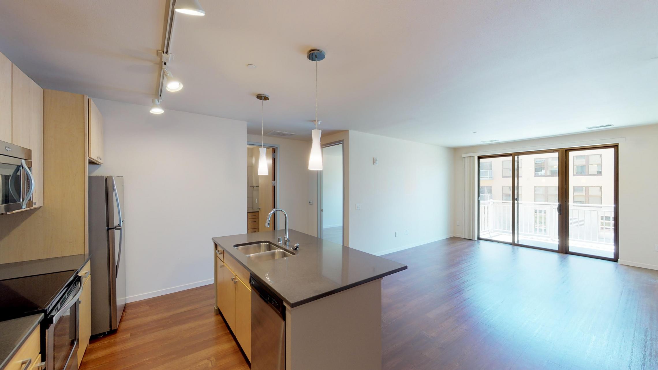 Nine-Line-Apartment-222-One-Bedroom-Living-Kitchen-Upscale-Modern-Design-Downtown-Madison-Sunny-Bright-Lifestyle