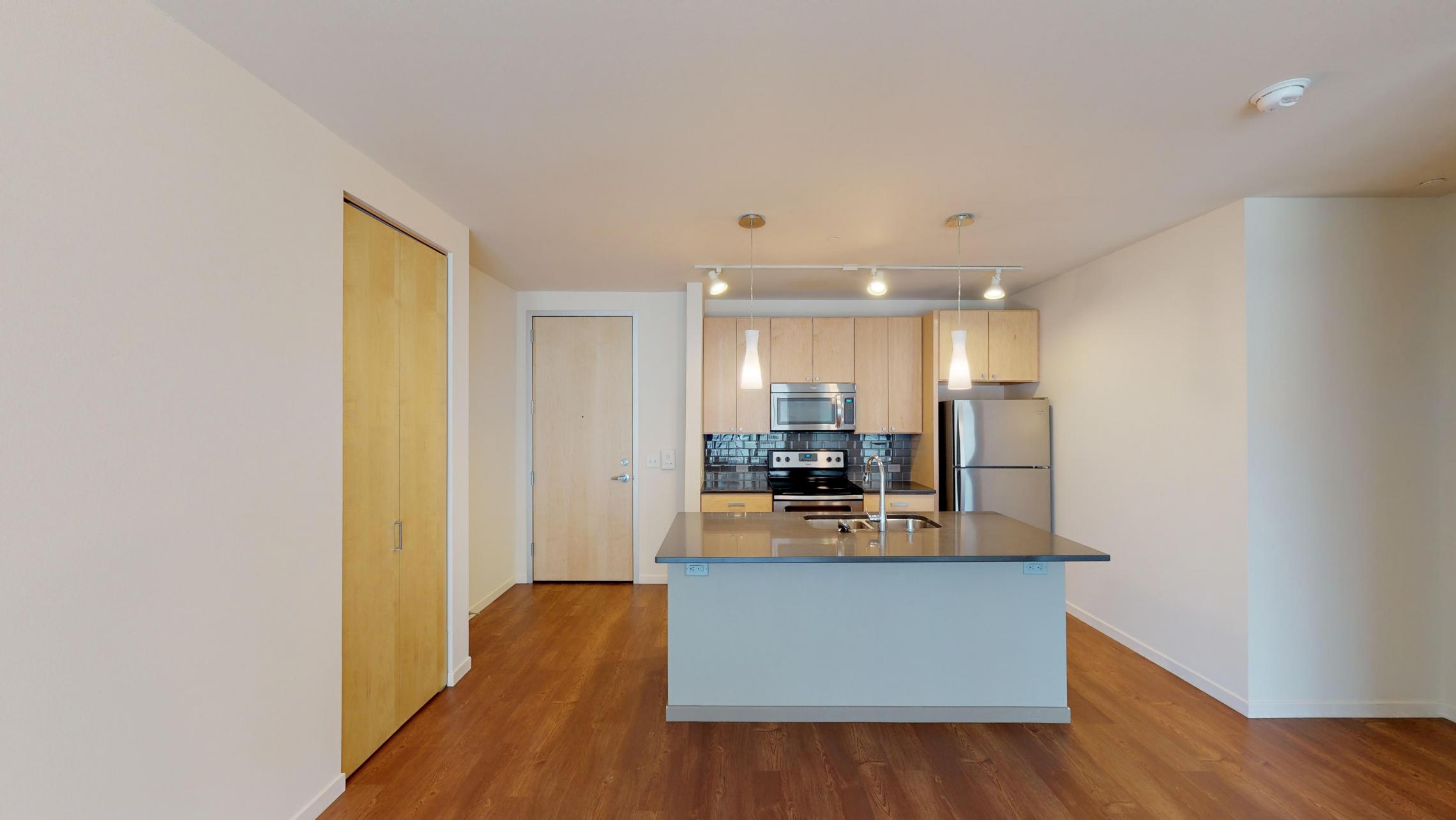 Nine-Line-Apartment-222-One-Bedroom-Living-Kitchen-Upscale-Modern-Design-Downtown-Madison-Sunny-Bright-Lifestyle