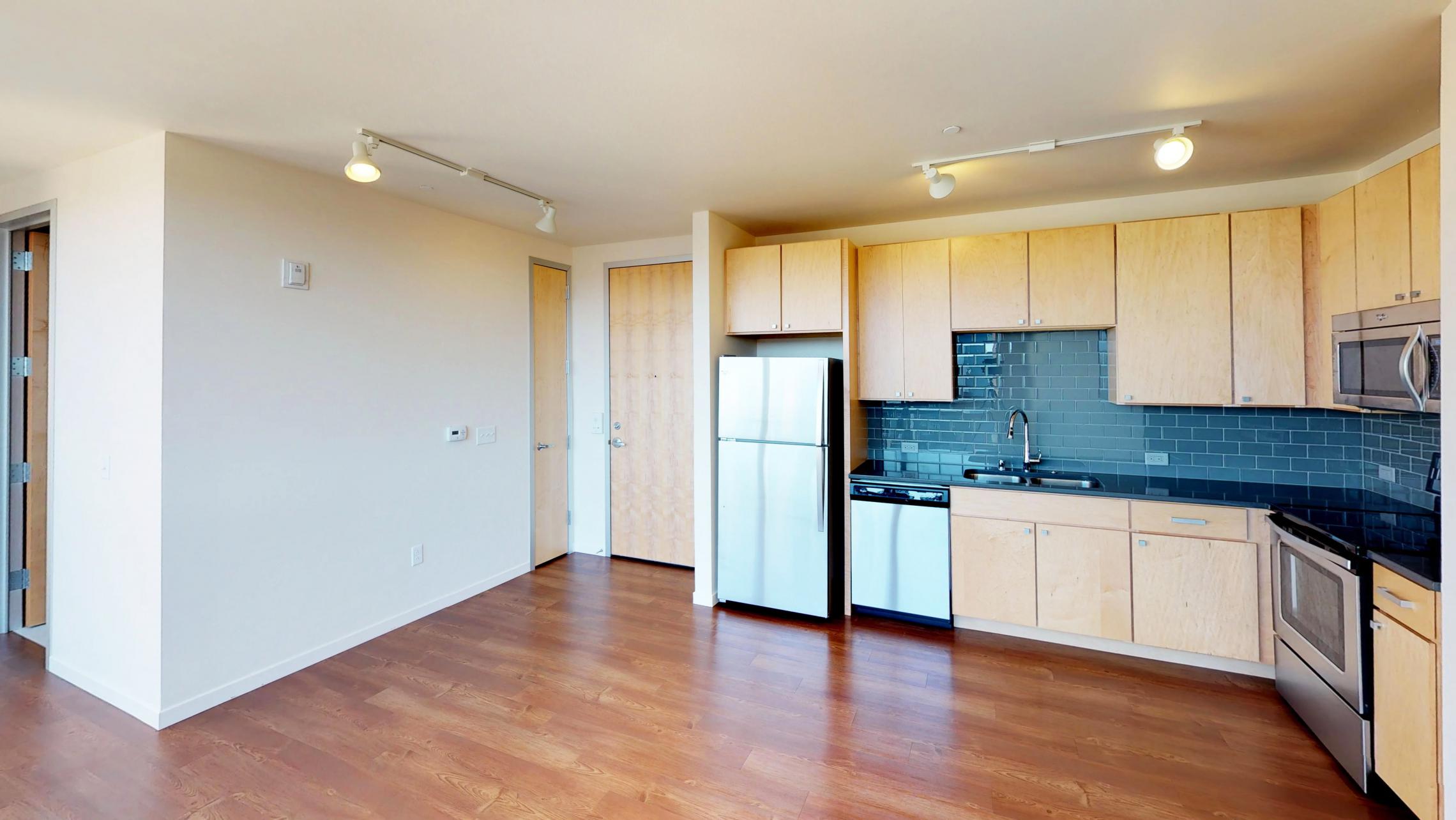 Nine-Line-Apartment-kitchen-upscale-modern-luxury-design-madison-lifestyle-balcony-downtown-capitol.jpg