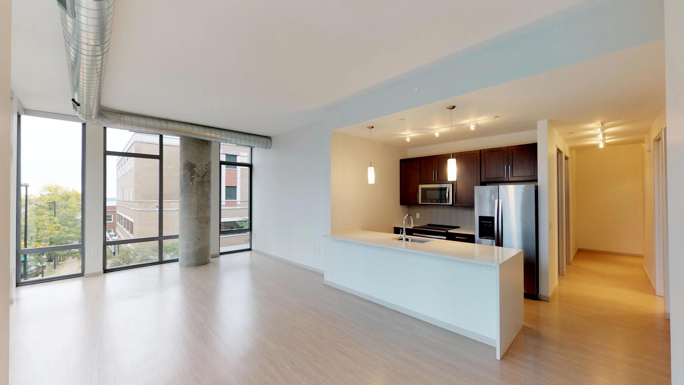 Pressman-207-Apartment-Luxury-Modern-Upscale-Downtown-Lake-View-Kitchen-Stainless-Steele-Capitol-Corner