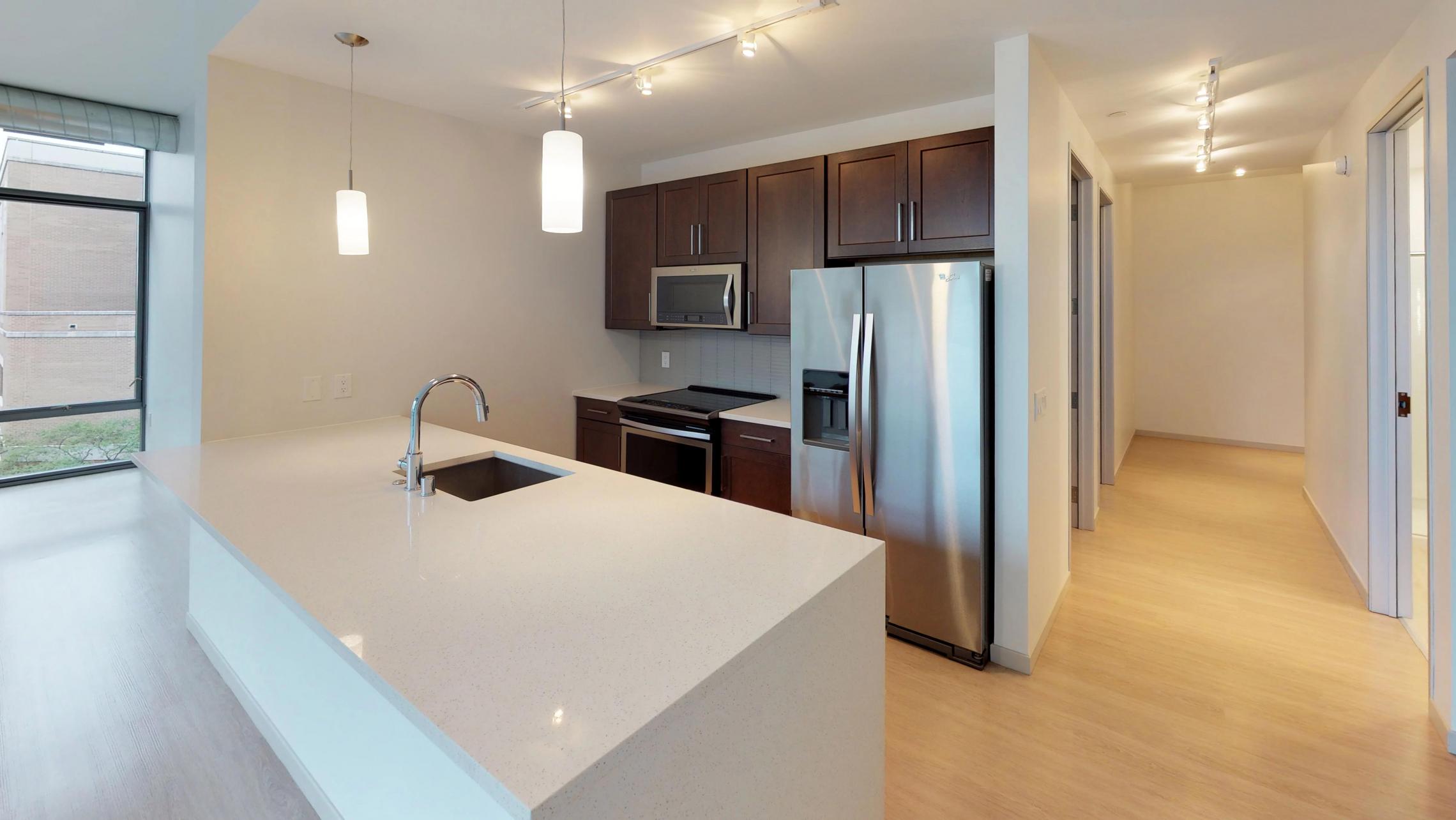 Pressman-207-Apartment-Luxury-Modern-Upscale-Downtown-Lake-View-Kitchen-Stainless-Steele-Capitol-Corner