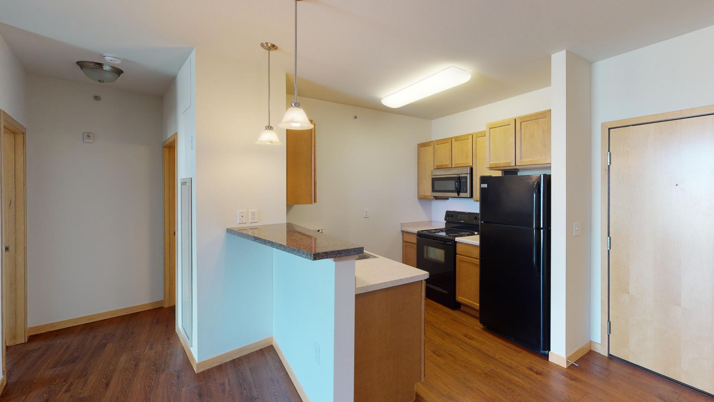 The-Depot-Apartment-1-314-One-Bedroom-Kitchen-Living-Bathroom-Storgae-Bathtub-Rooftop-Terrace-Fitness-Downtown-Madison-Capitol-Bike-Trails-Cats-Lifestyle-City-Lake