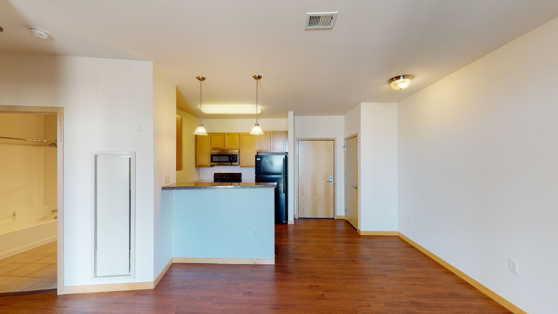 The-Depot-Apartment-1-314-One-Bedroom-Kitchen-Living-Bathroom-Storgae-Bathtub-Rooftop-Terrace-Fitness-Downtown-Madison-Capitol-Bike-Trails-Cats-Lifestyle-City-Lake