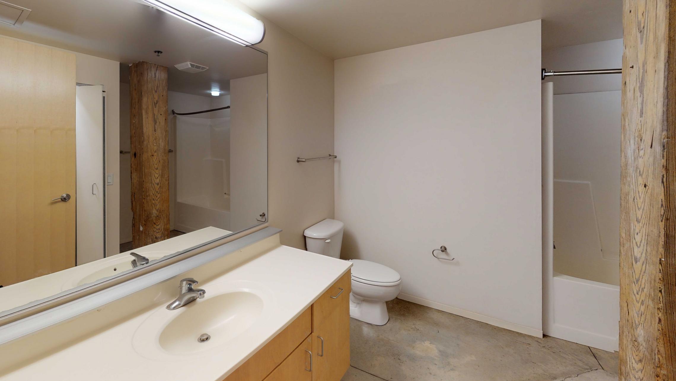 Tobacco-Lofts-Apartment-E102-Bathroom-Historic-Design-Madison-Downtown