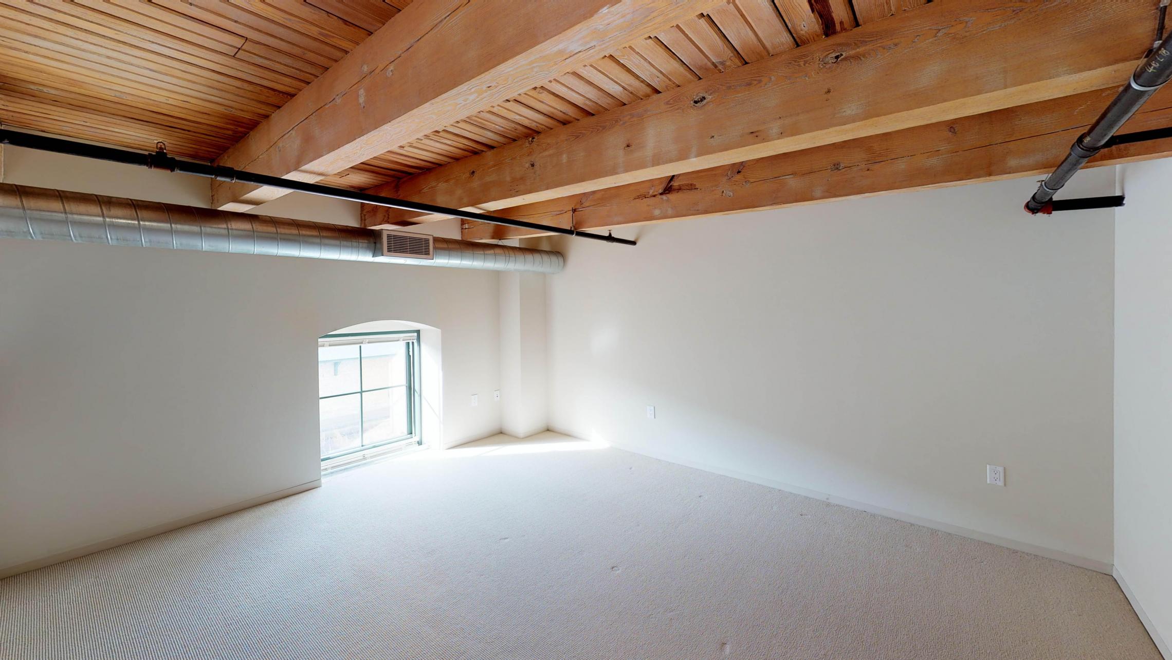 Tobacco-Lofts-Apartments-Lofted-Design-Unique-Upscale-Stunning-Sunshine-Cats-Lofted-Brick-Garage-Courtyard-Grill-Fitness-Historic-Yards-Warehouse-Apartment- E204-Lofted-Two-Bedroom