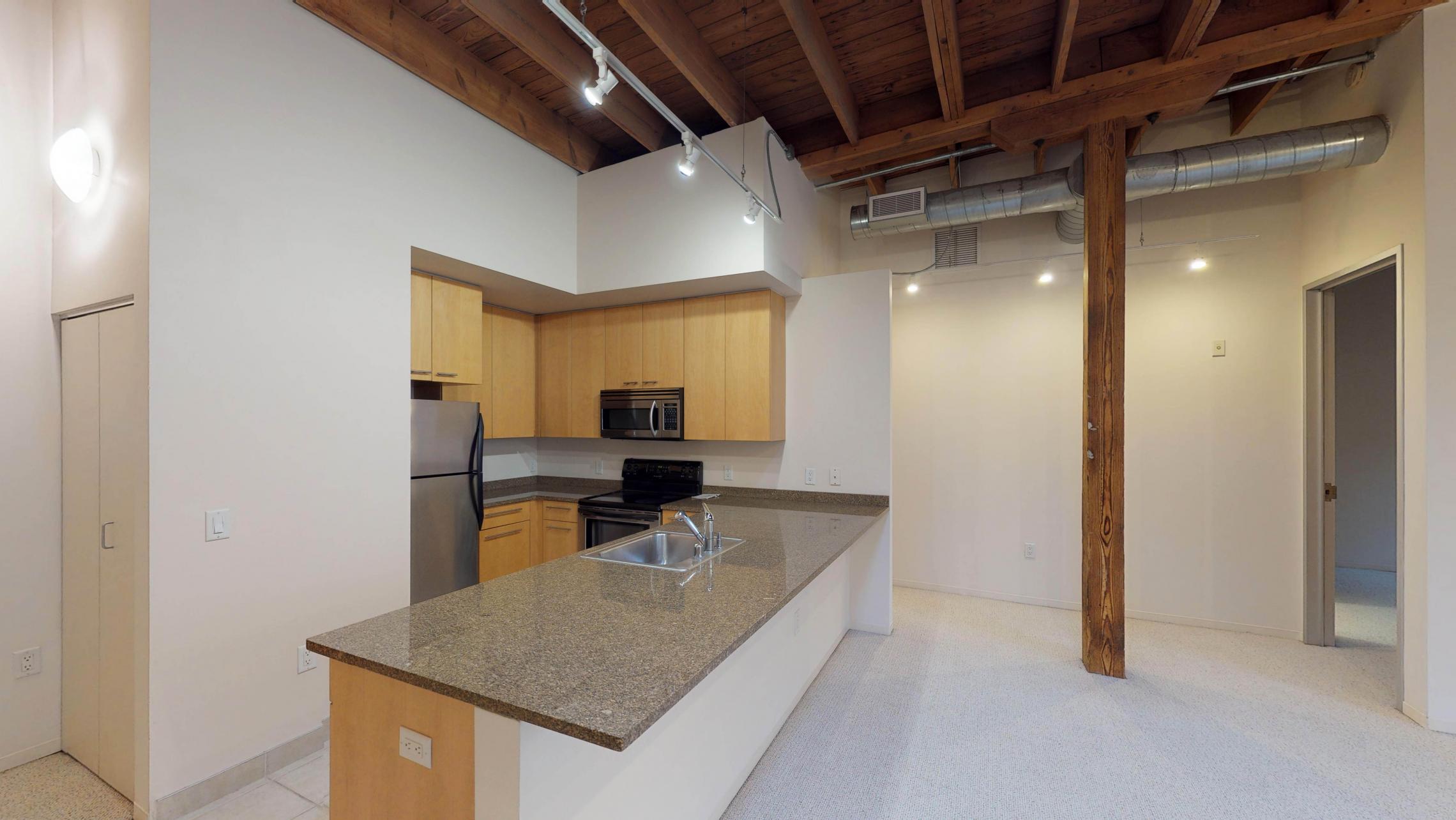 Tobacco-Lofts-Apartments-Lofted-Design-Unique-Upscale-Stunning-Sunshine-Cats-Lofted-Brick-Garage-Courtyard-Grill-Fitness-Historic-Yards-Warehouse-Apartment- W209-One-Bedroom-Skylight 