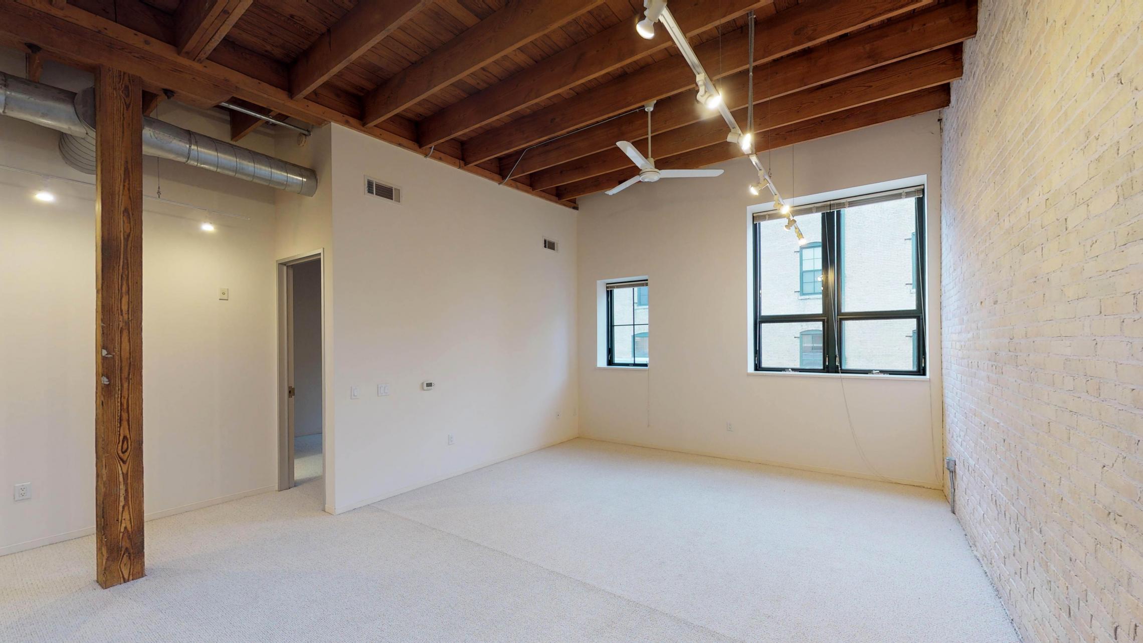 Tobacco-Lofts-Apartments-Lofted-Design-Unique-Upscale-Stunning-Sunshine-Cats-Lofted-Brick-Garage-Courtyard-Grill-Fitness-Historic-Yards-Warehouse-Apartment- W209-One-Bedroom-Skylight 