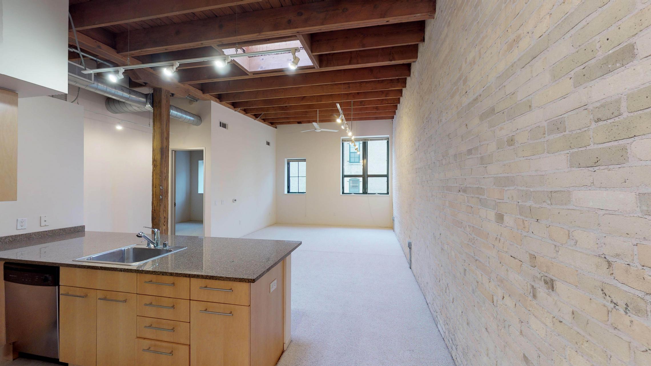 Tobacco-Lofts-Apartments-Lofted-Design-Unique-Upscale-Stunning-Sunshine-Cats-Lofted-Brick-Garage-Courtyard-Grill-Fitness-Historic-Yards-Warehouse-Apartment- W209-One-Bedroom-Skylight 