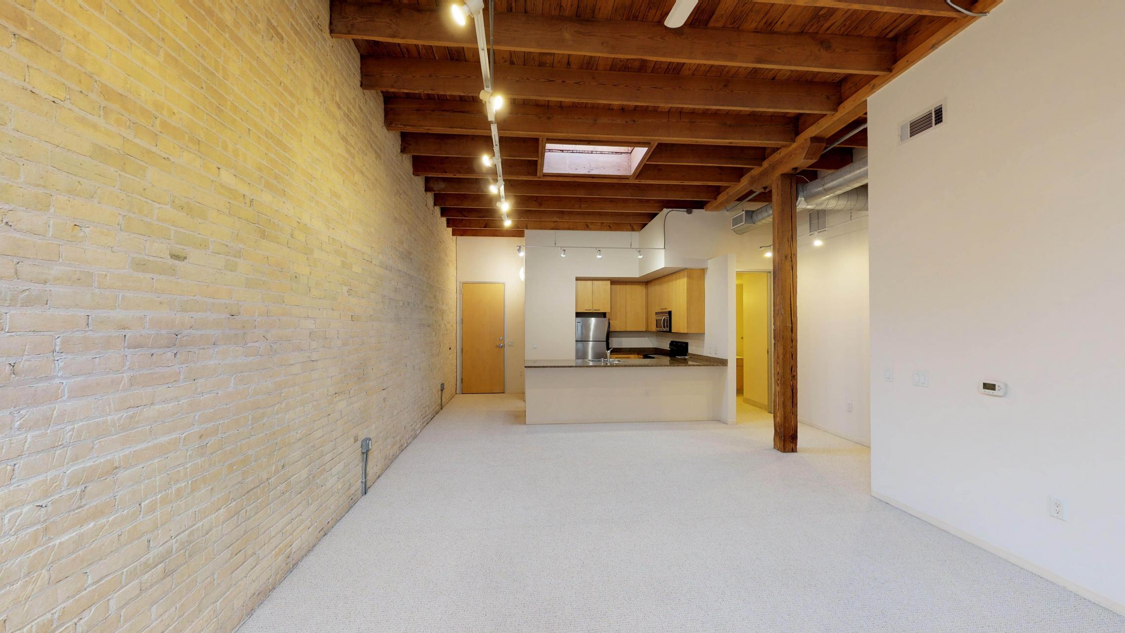 Tobacco-Lofts-Apartments-Lofted-Design-Unique-Upscale-Stunning-Sunshine-Cats-Lofted-Brick-Garage-Courtyard-Grill-Fitness-Historic-Yards-Warehouse-Apartment- W209-One-Bedroom-Skylight 