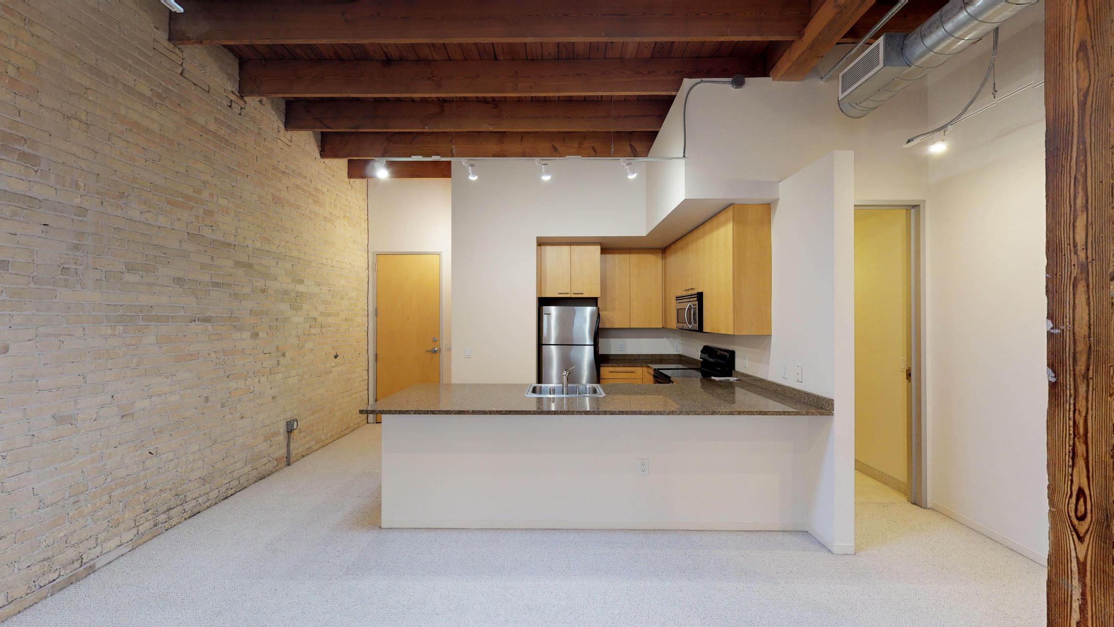 Tobacco-Lofts-Apartments-Lofted-Design-Unique-Upscale-Stunning-Sunshine-Cats-Lofted-Brick-Garage-Courtyard-Grill-Fitness-Historic-Yards-Warehouse-Apartment- W209-One-Bedroom-Skylight 