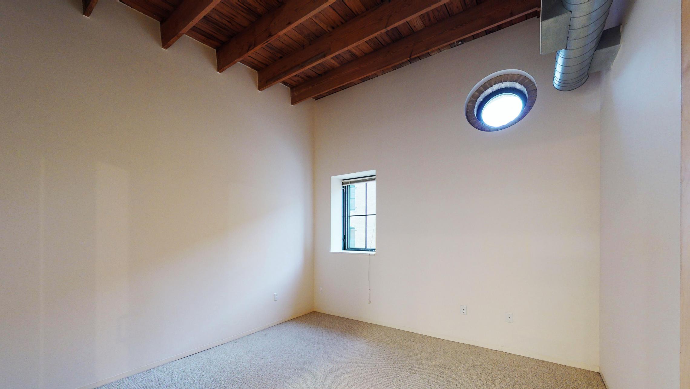 Tobacco-Lofts-Apartments-Lofted-Design-Unique-Upscale-Stunning-Sunshine-Cats-Lofted-Brick-Garage-Courtyard-Grill-Fitness-Historic-Yards-Warehouse-Apartment- W209-One-Bedroom-Skylight 