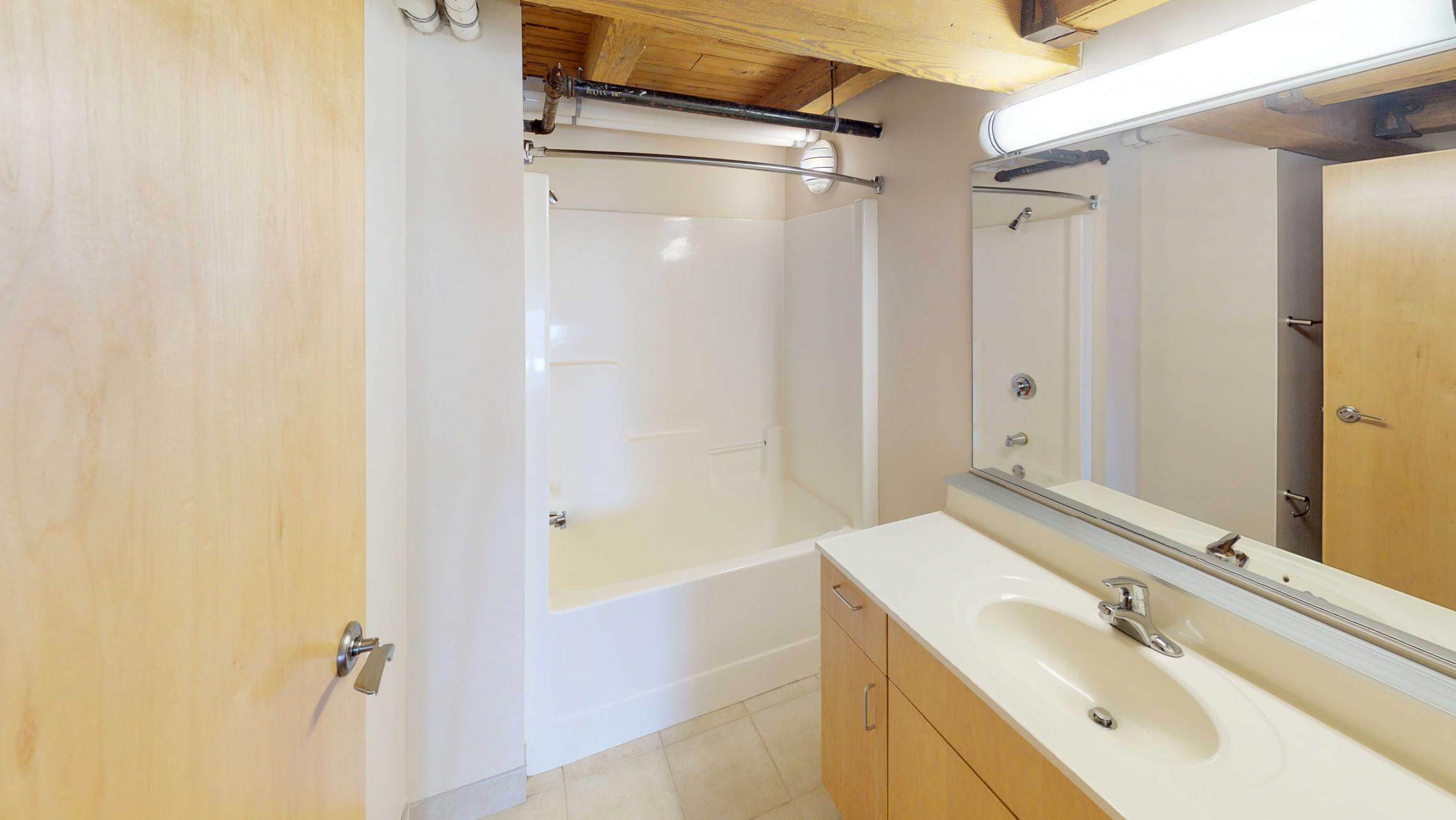 Tobacco-Lofts-E203-Bathroom-Lofted-Two-bedroom-downtown-Madison-balcony-view-design