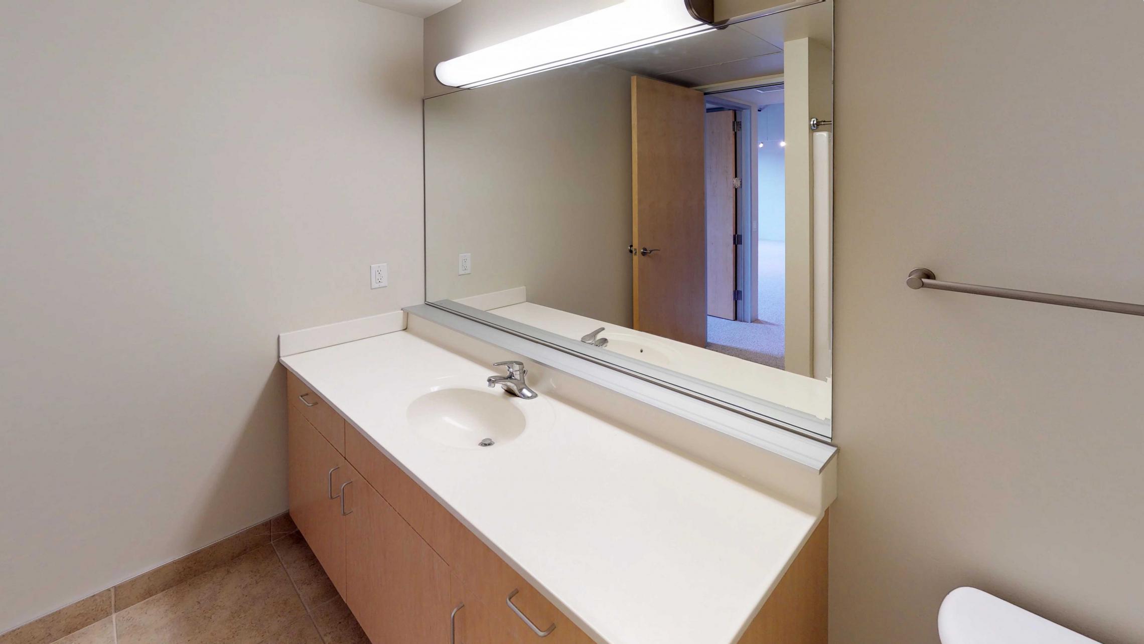 Tobacco-Lofts-E311-Apartment-Bathroom-Vanity-Downtown-Madison-Historic-Yards.jpg