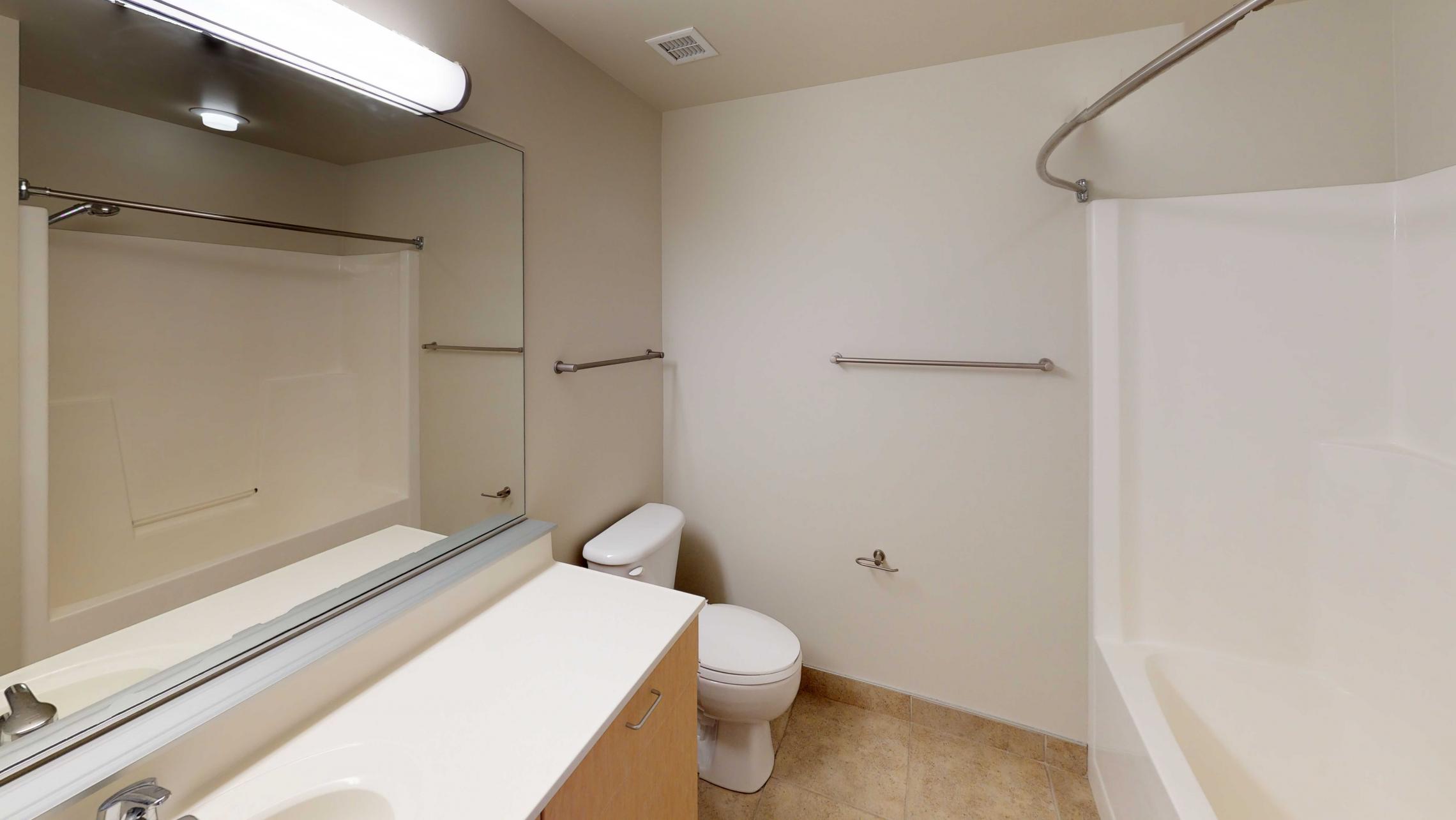 Tobacco-Lofts-E311-Bathroom-Tub-Apartment-Downtown-Madison-Historic-Design-Exposures-Yards.jpg