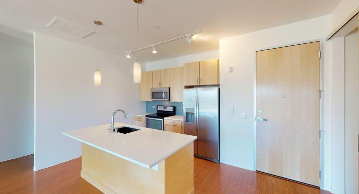 SEVEN27-Apartment-216-Modern-Upscale-Views-City-Downtown-Madison-Lake-Terrace.jpg