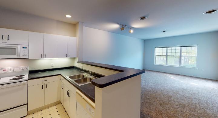 Wilson-Bay-208-One bedroom-kitchen-downtown-balcony-downtown-Madison